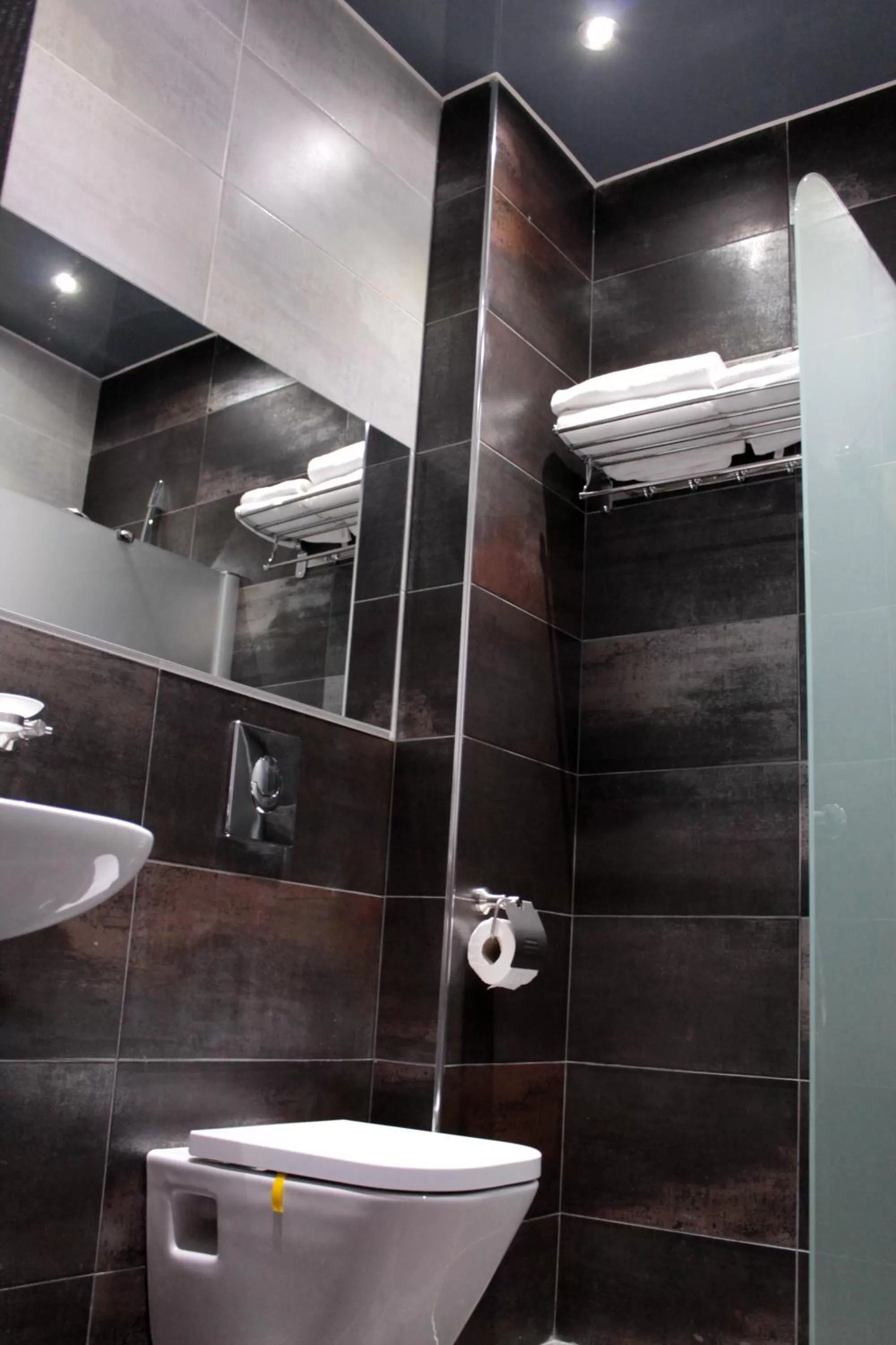 Shower, Bathroom in Royal Venezia Hotel