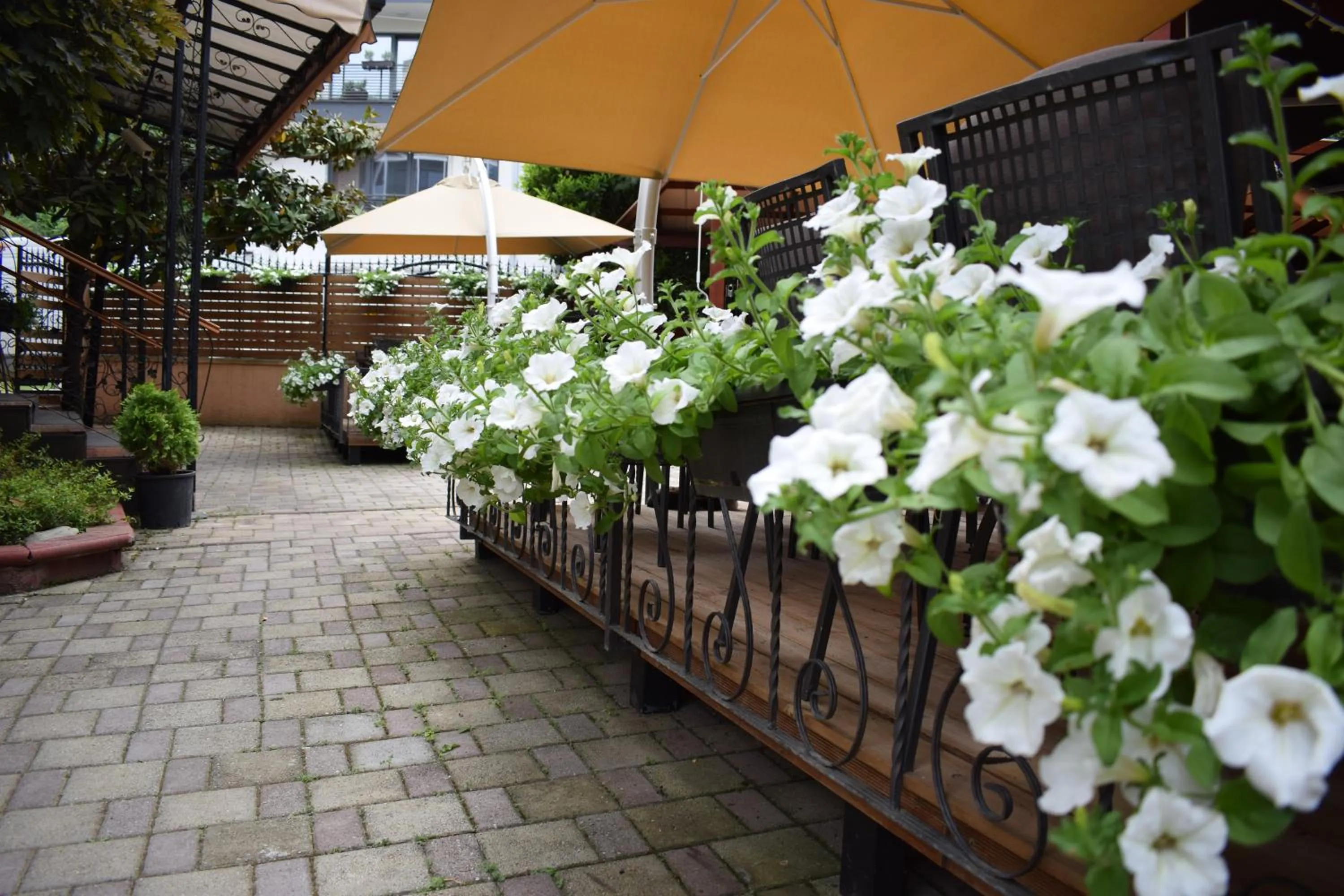 Hotel Aristocrat & Fish Restaurant