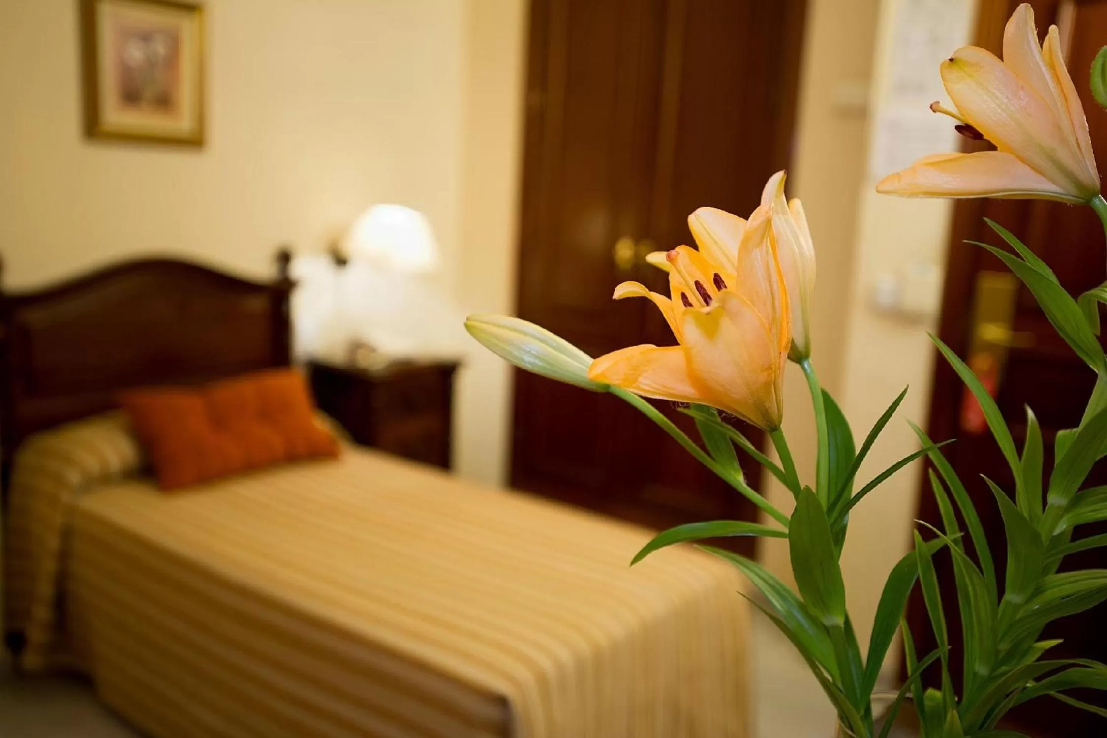 Decorative detail, Bed in Hotel Gran Avenida