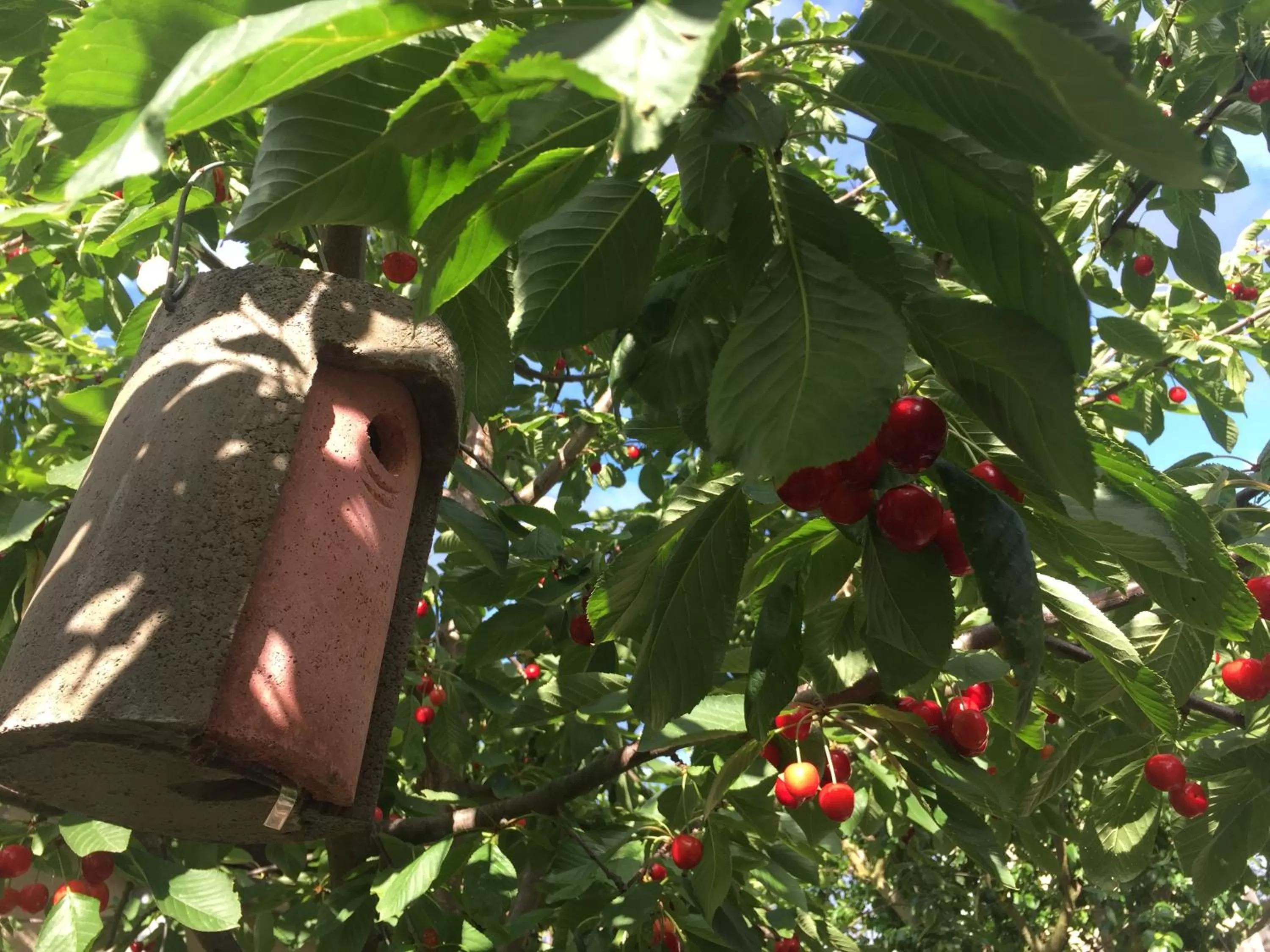Patio in Jugendstil-Hof