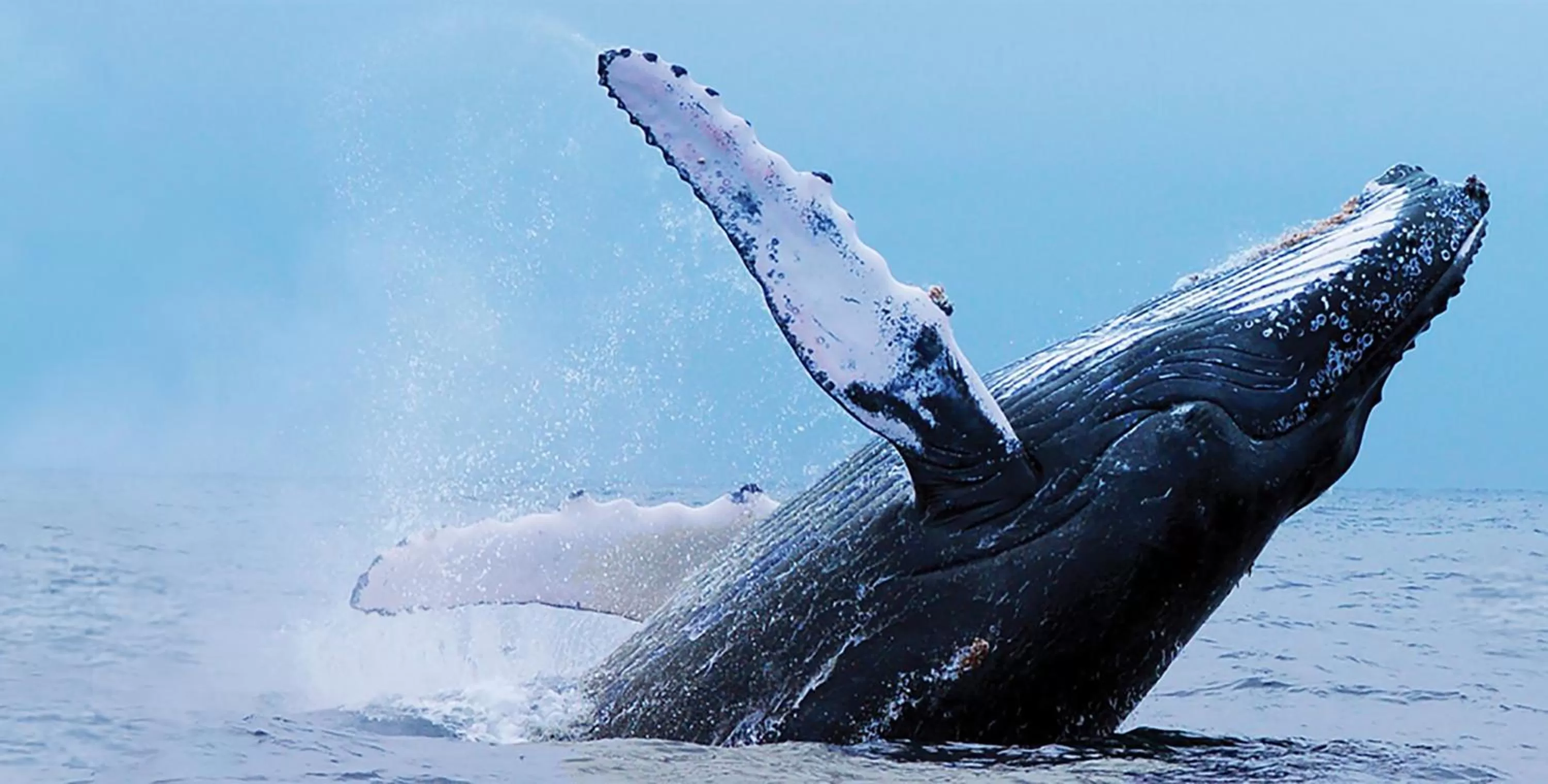 Off site in Frederick William House