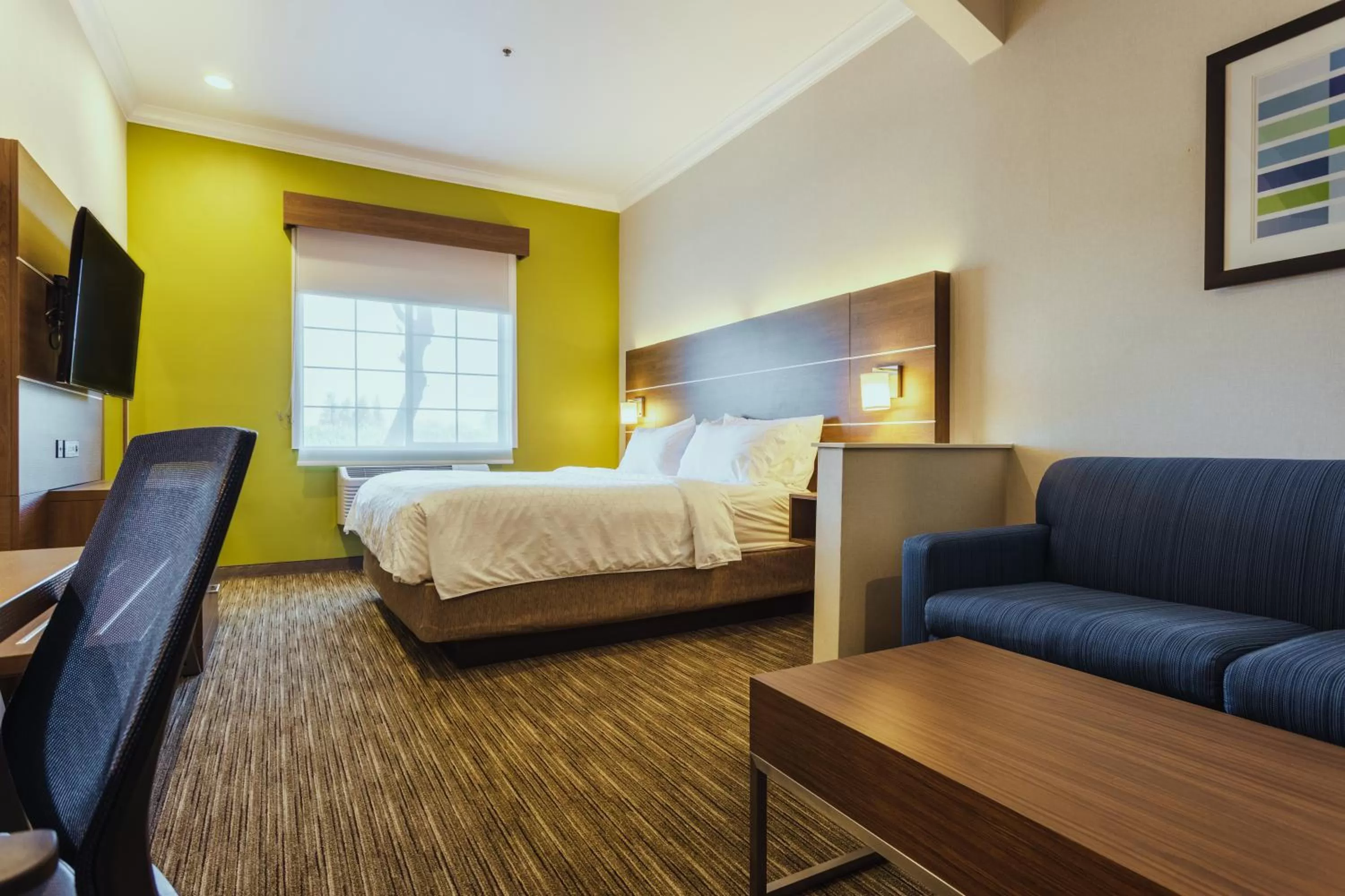 Holiday Inn Express Davis-University Area by IHG
