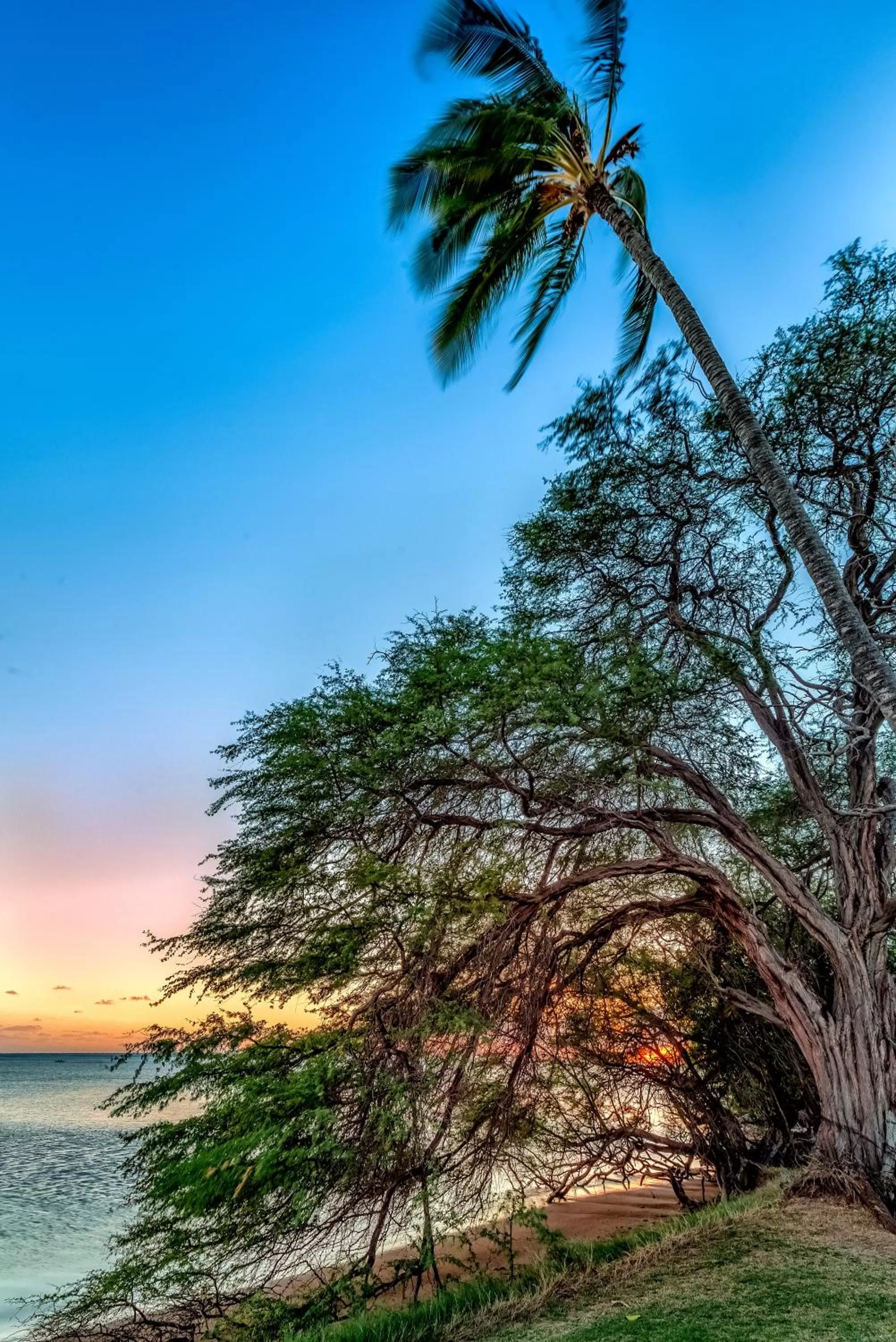 Beach in Castle at Moloka'i Shores