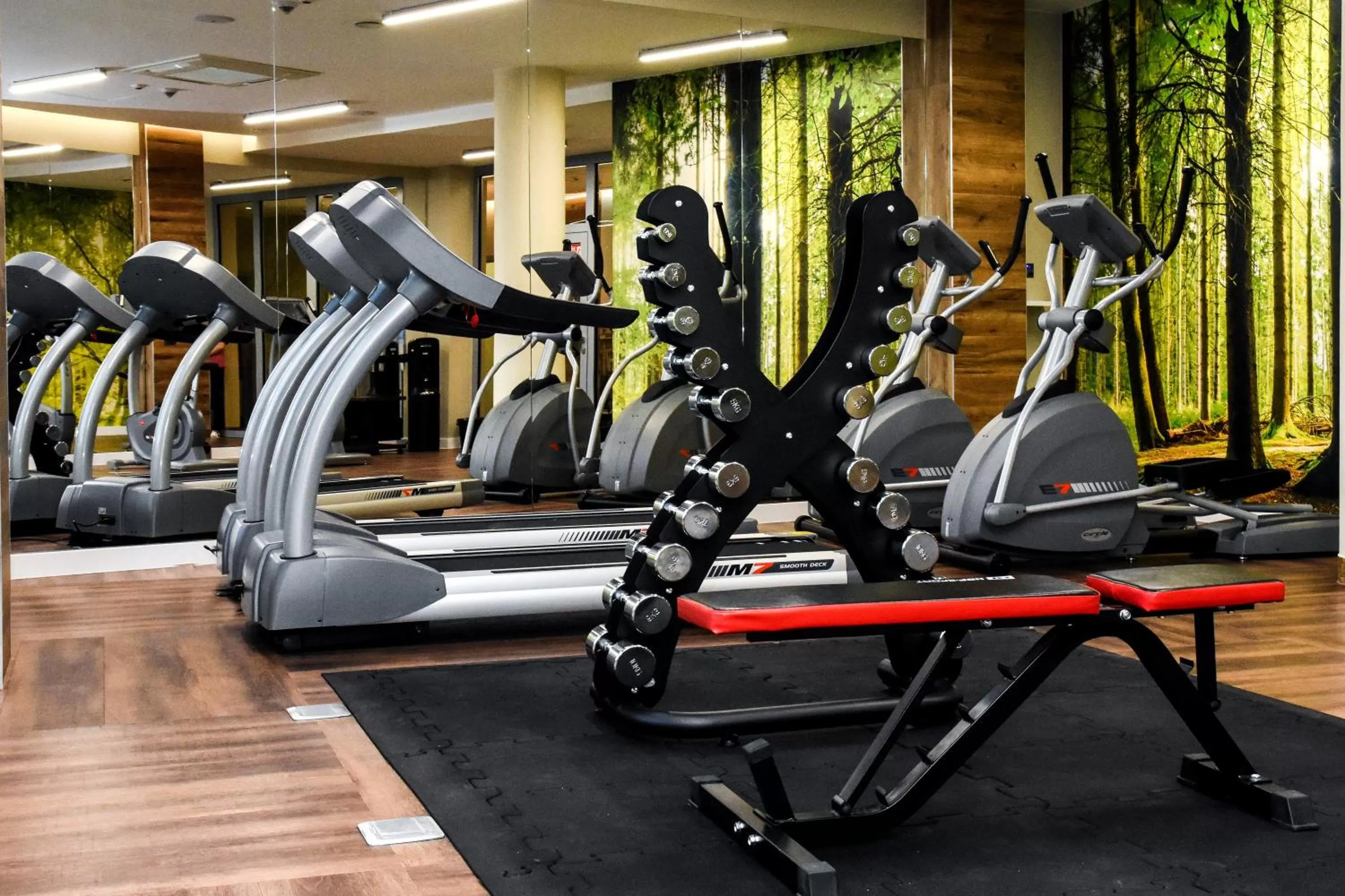 Sports in Ruben Hotel Zielona Góra