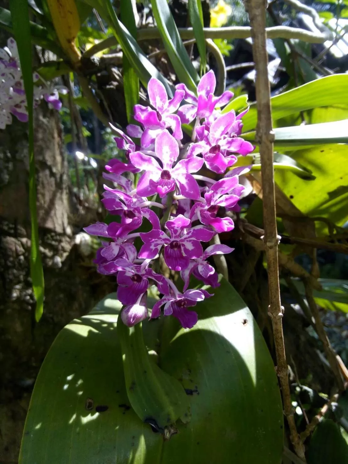 Property building in Koh Kood Little Hut