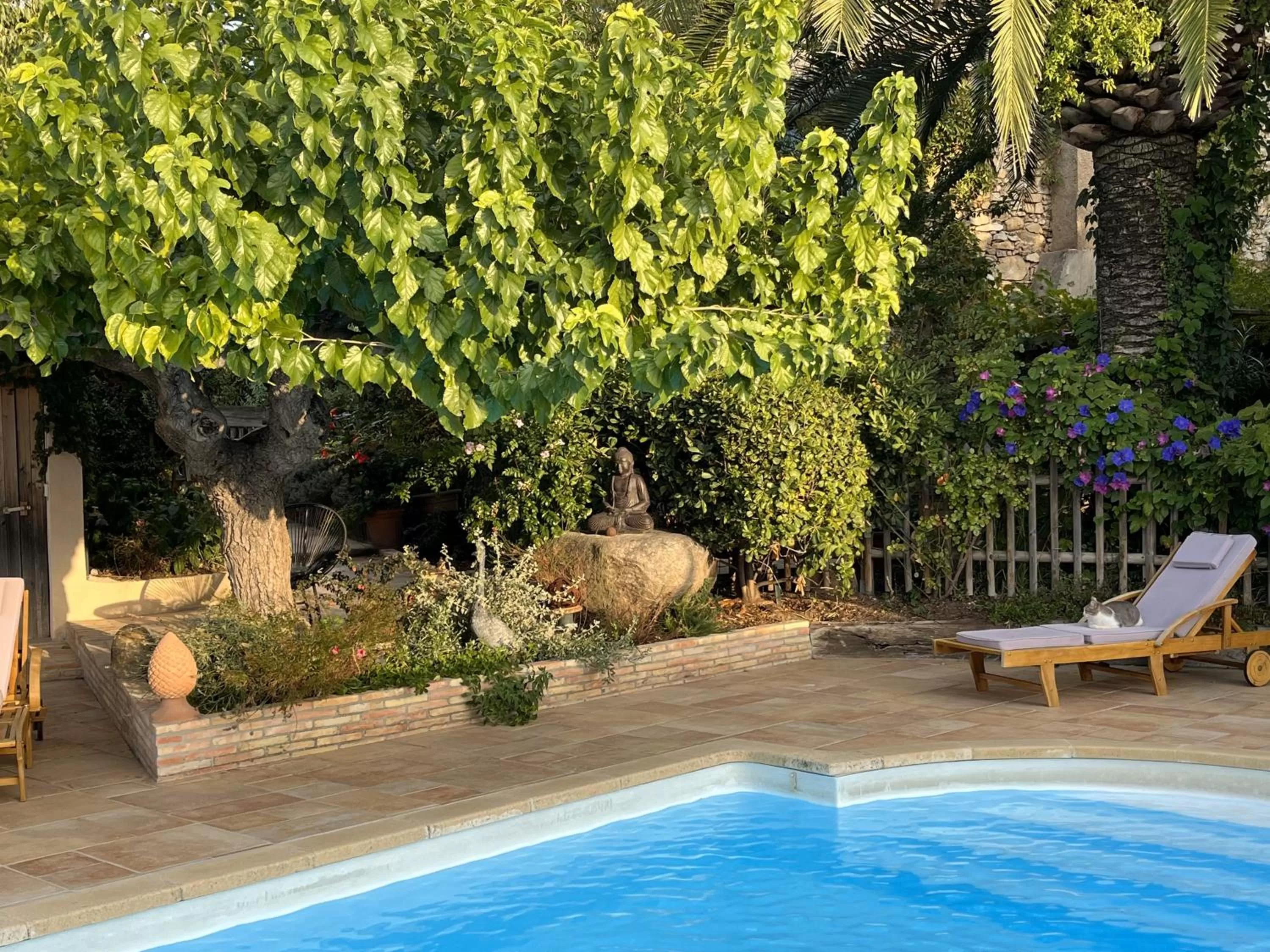 Swimming Pool in LA MAISON DE JUSTINE