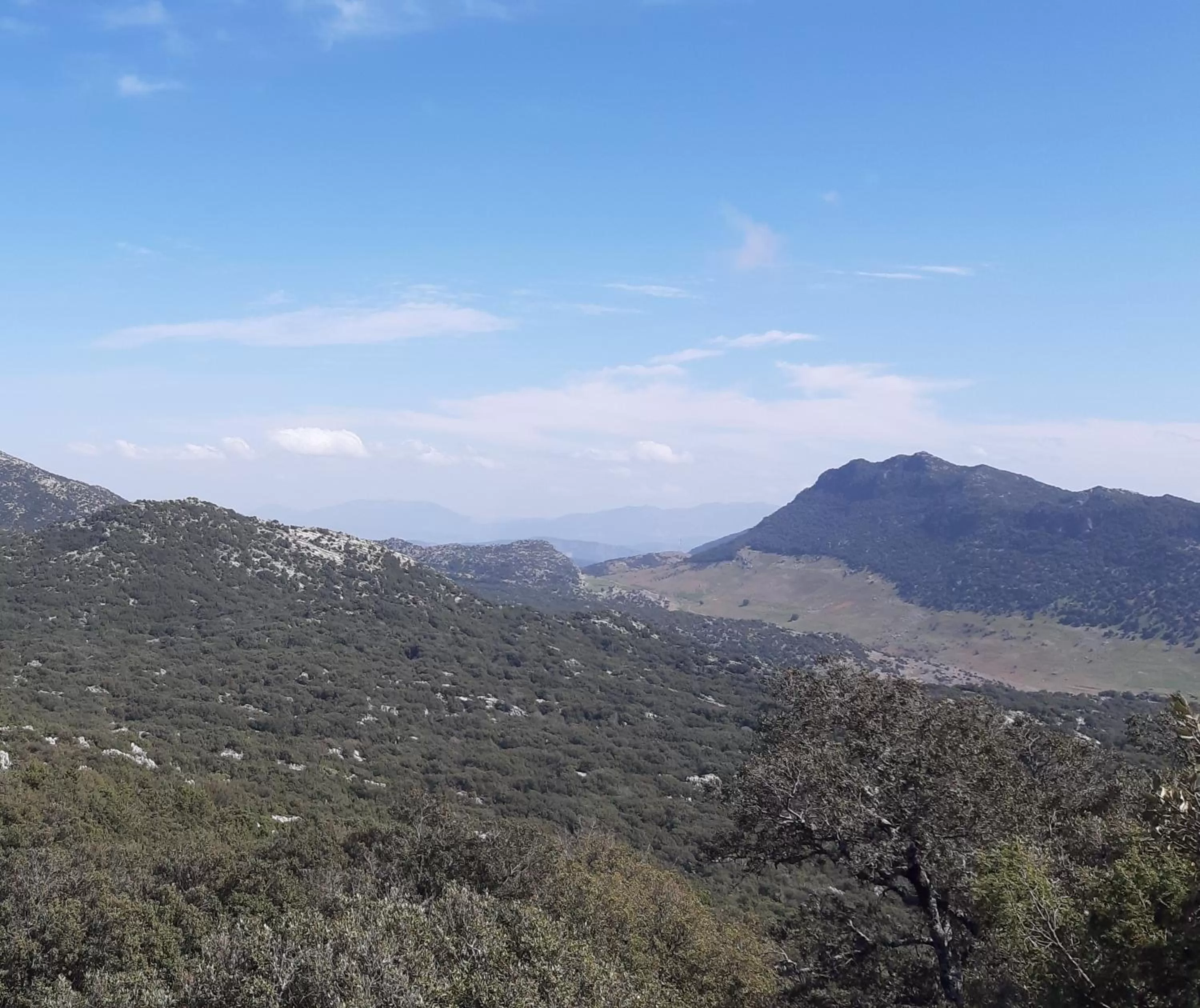 Mountain View in TAZEKKA PARC HOTEL