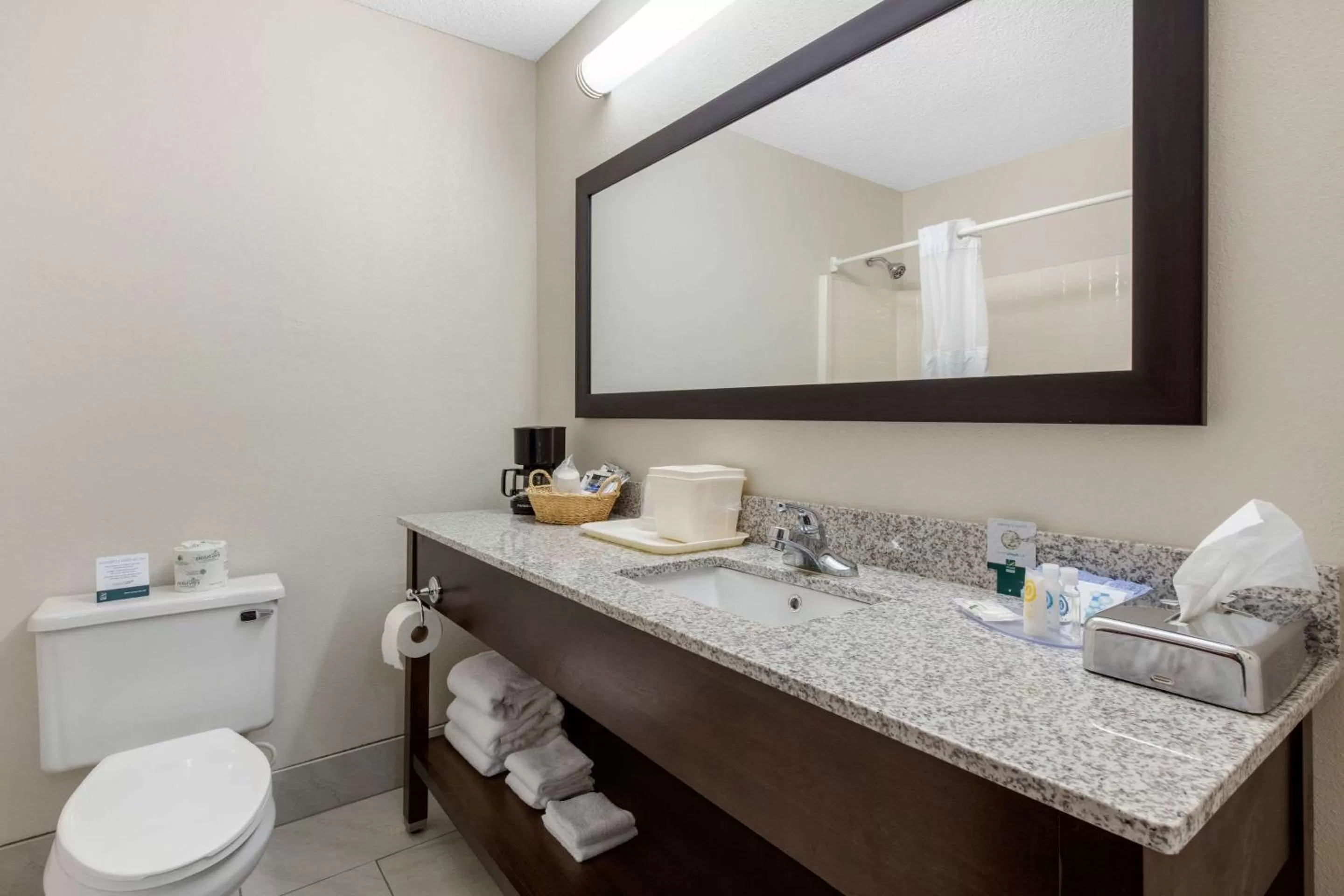 Bathroom in Quality Inn & Suites Mountain Home North