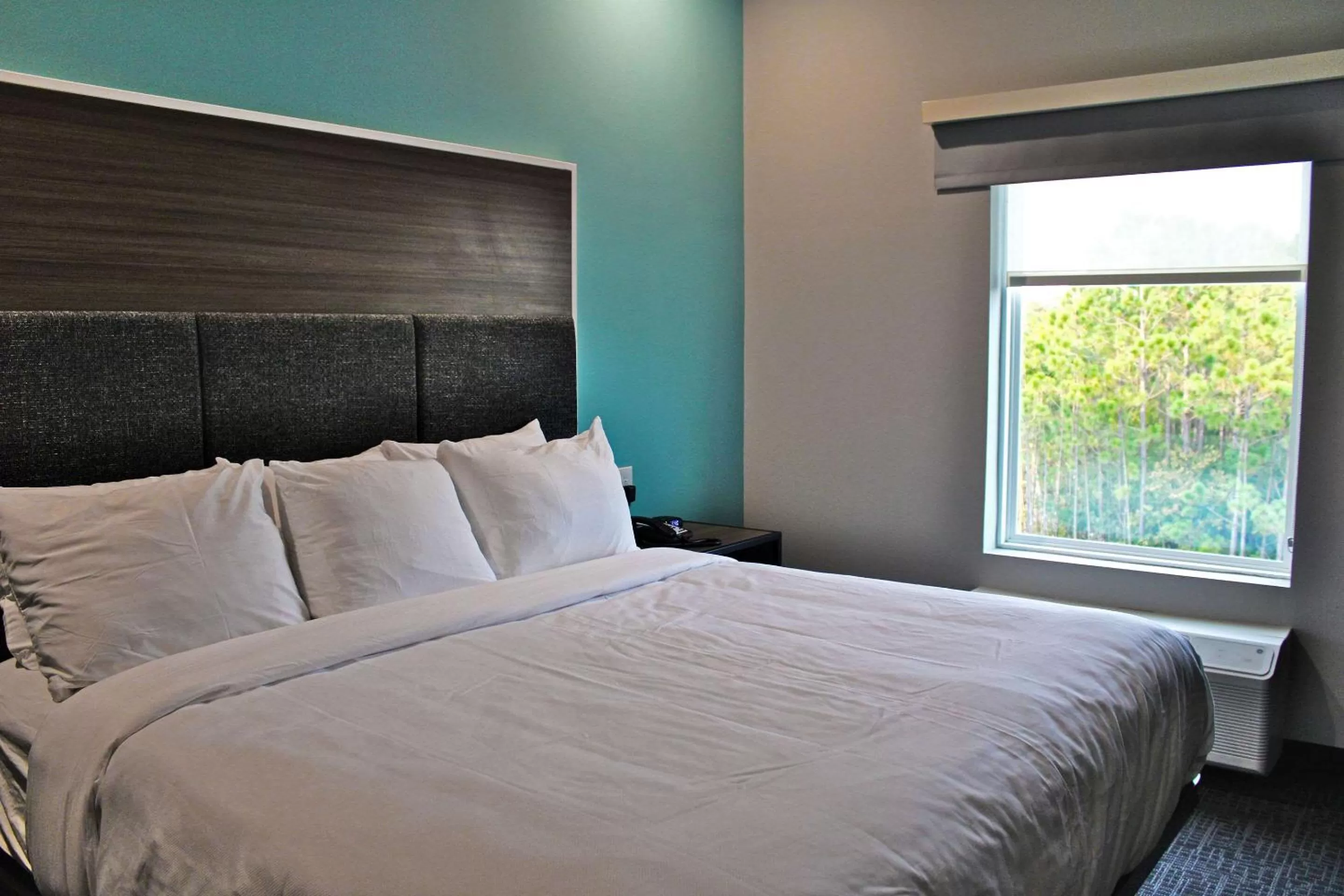 Queen Room with Roll-In Shower - Accessible/Non Smoking in Comfort Inn Miramar Beach - Destin