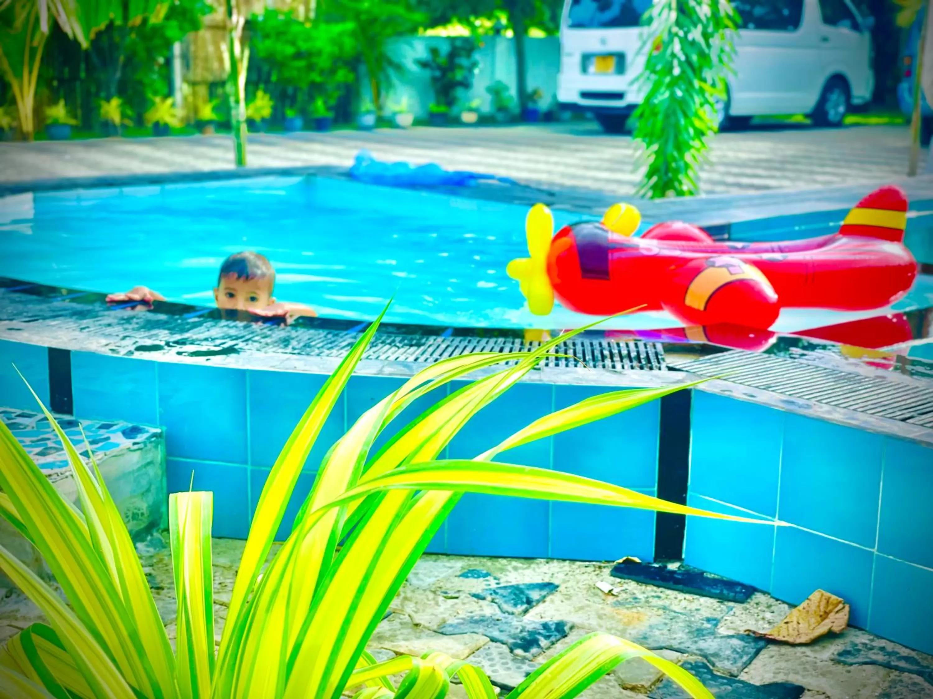 Swimming Pool in Trinco Star Cabana