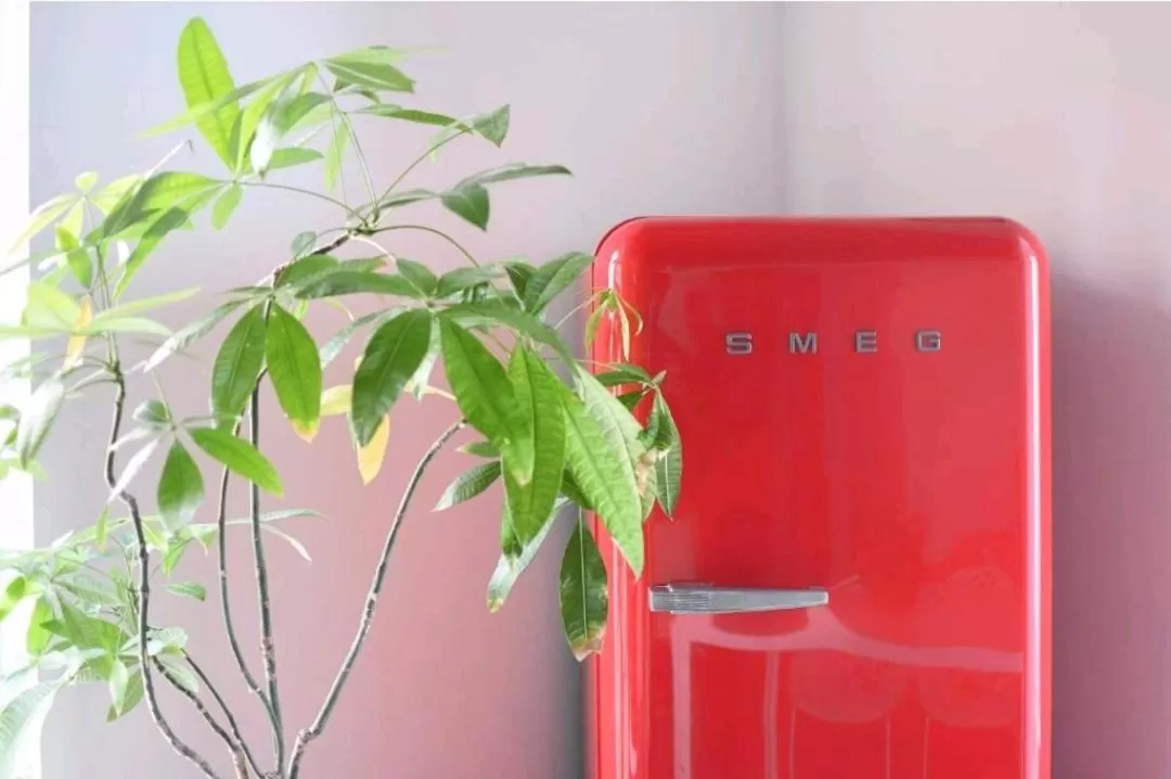 kitchen in San Francesco Rooms and Apartment with Terrace in Palermo Locazione Turistica