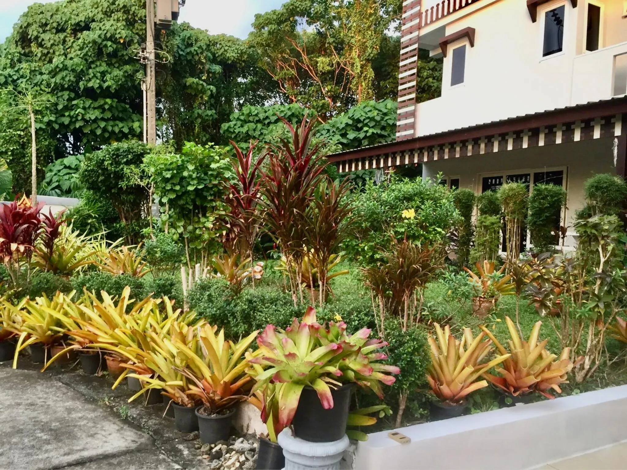 Garden in Siray House