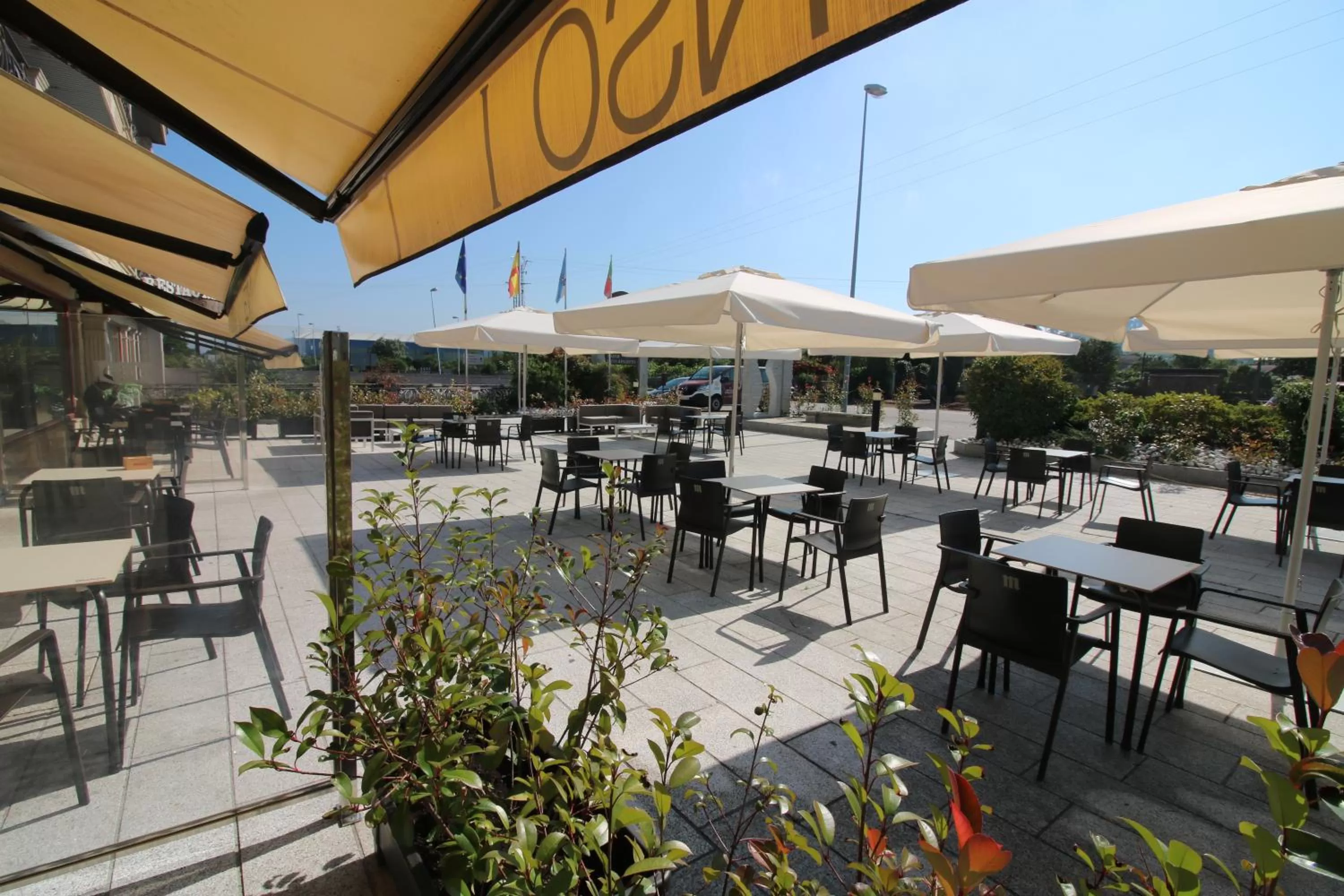 Garden in Hotel Alfonso I