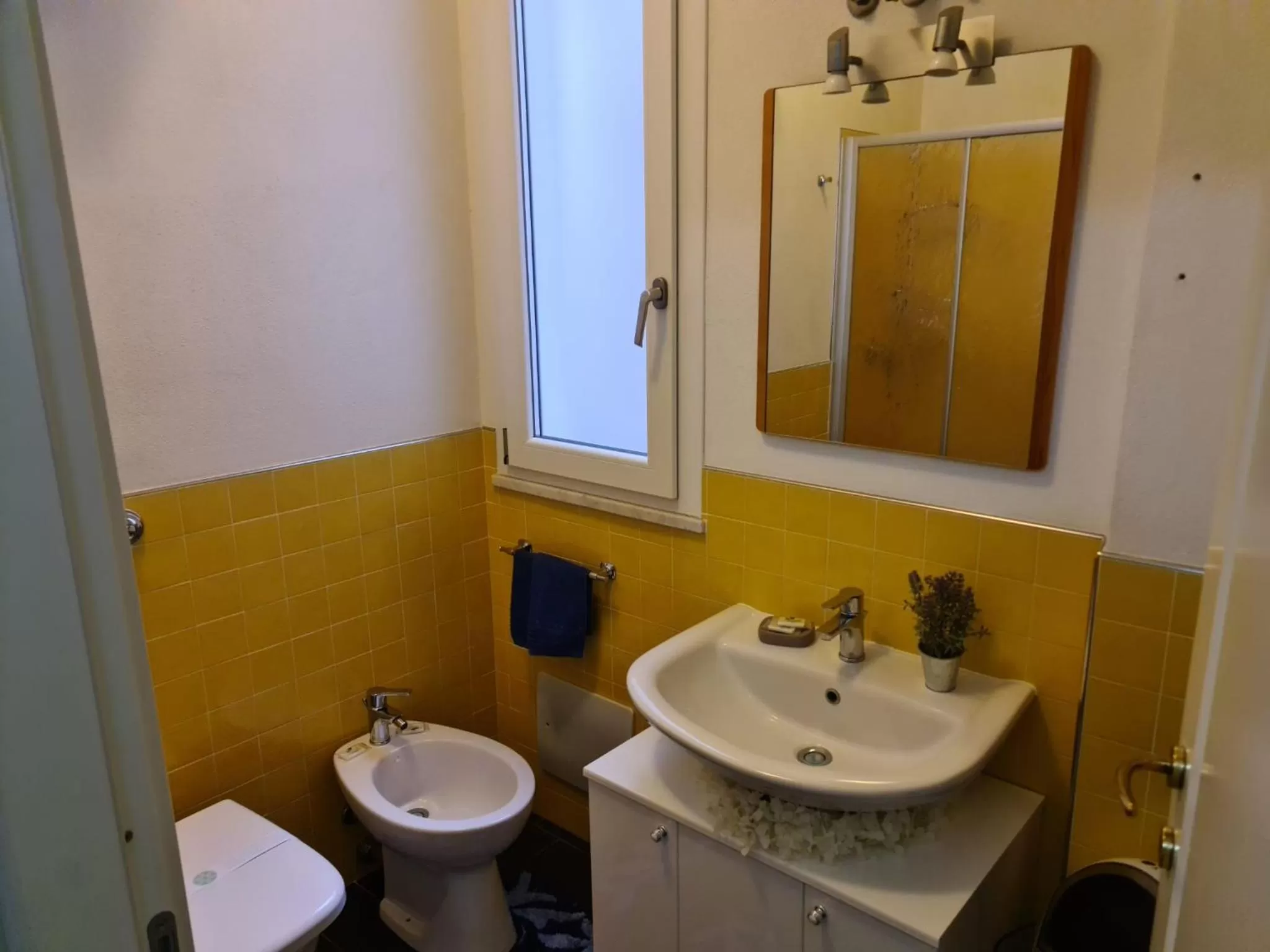 Toilet in Affittacamere Sa Pardula