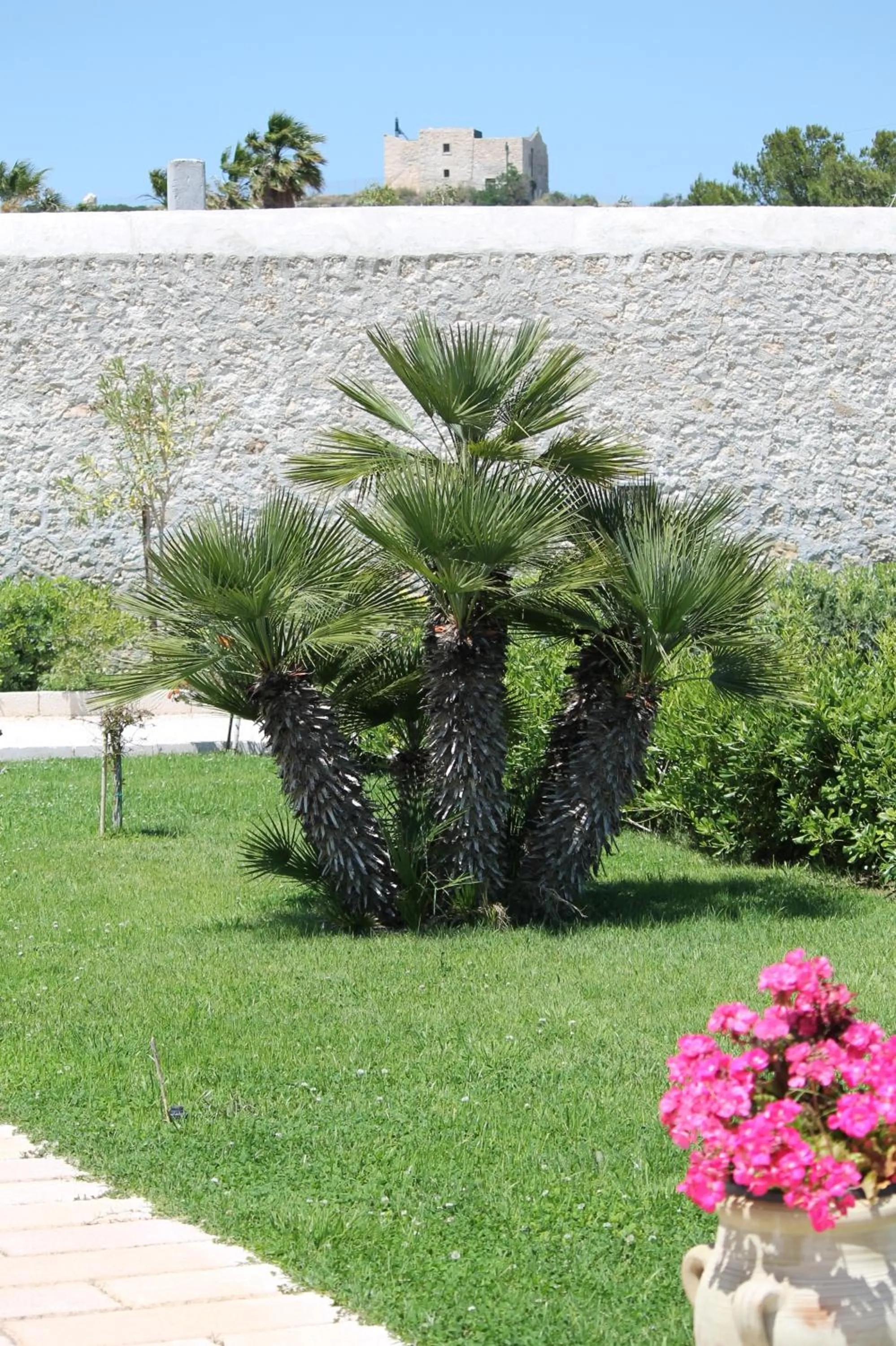Garden in Hotel Boutique Il Castellino Relais