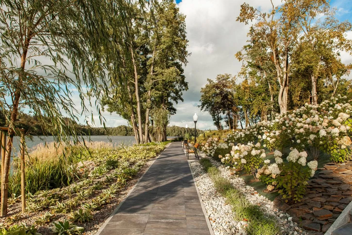 Natural landscape in Leśny Dwór