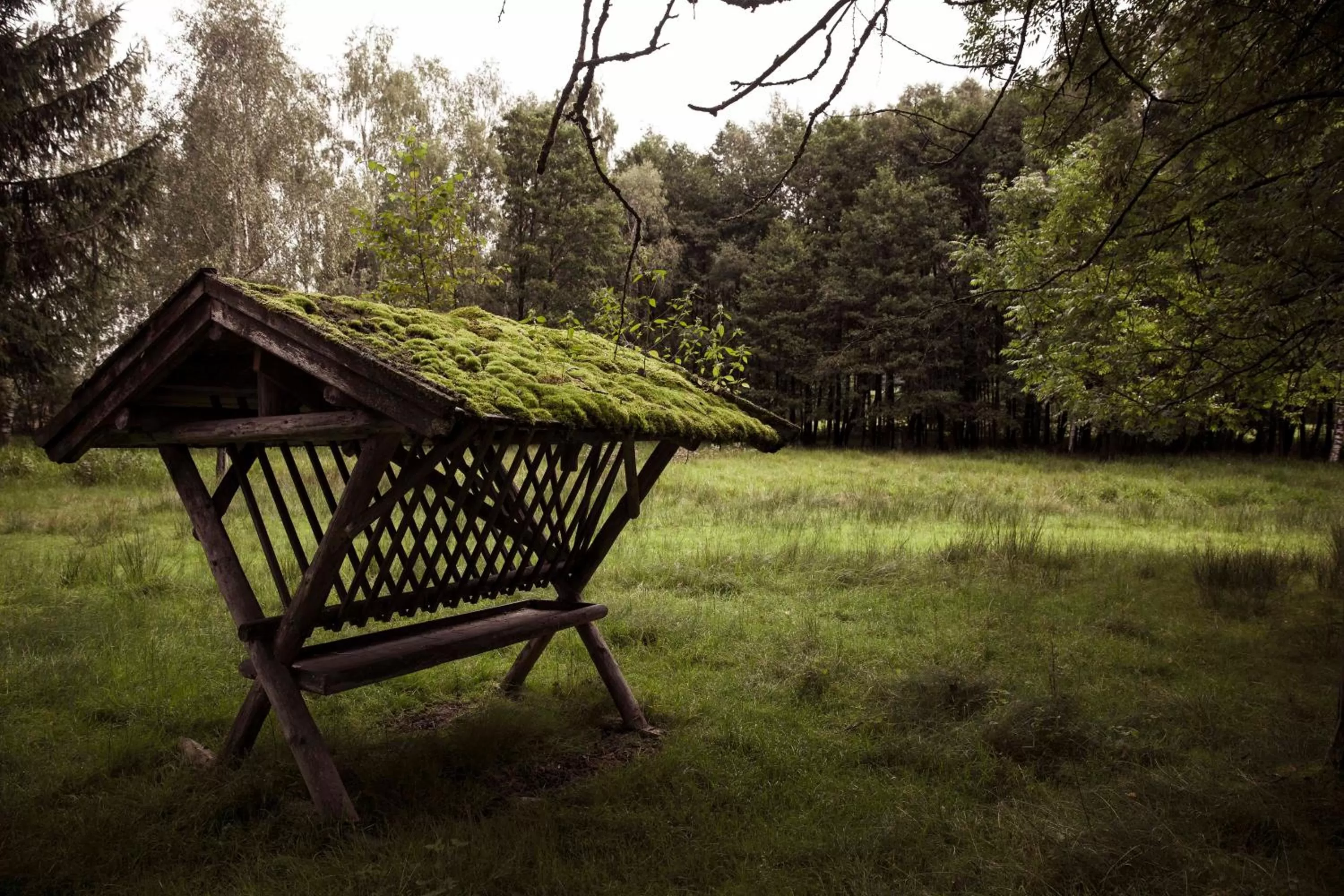 Garden in Schloss Prielau Hotel & Restaurants