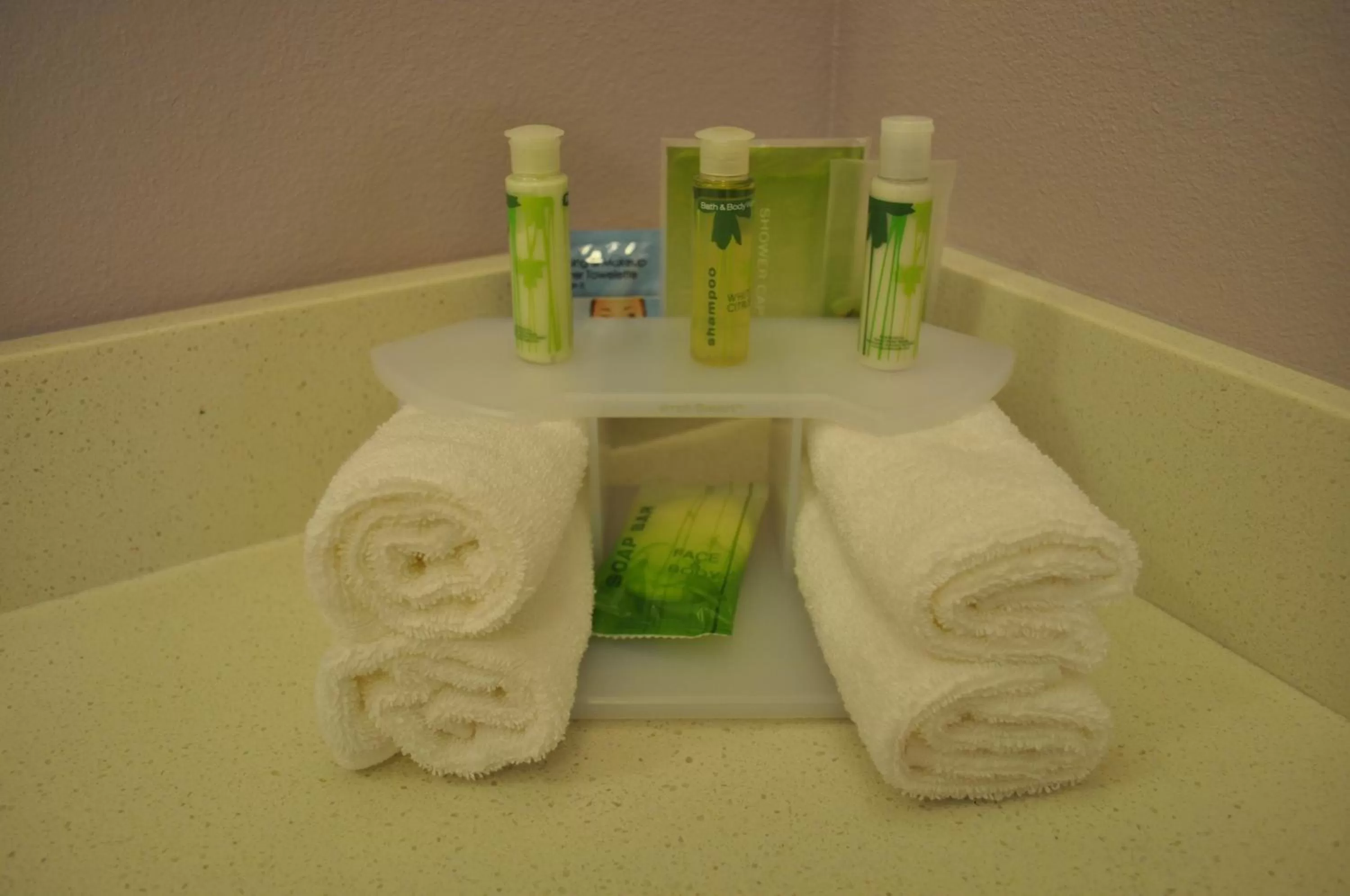 Photo of the whole room in Holiday Inn Express & Suites Price by IHG