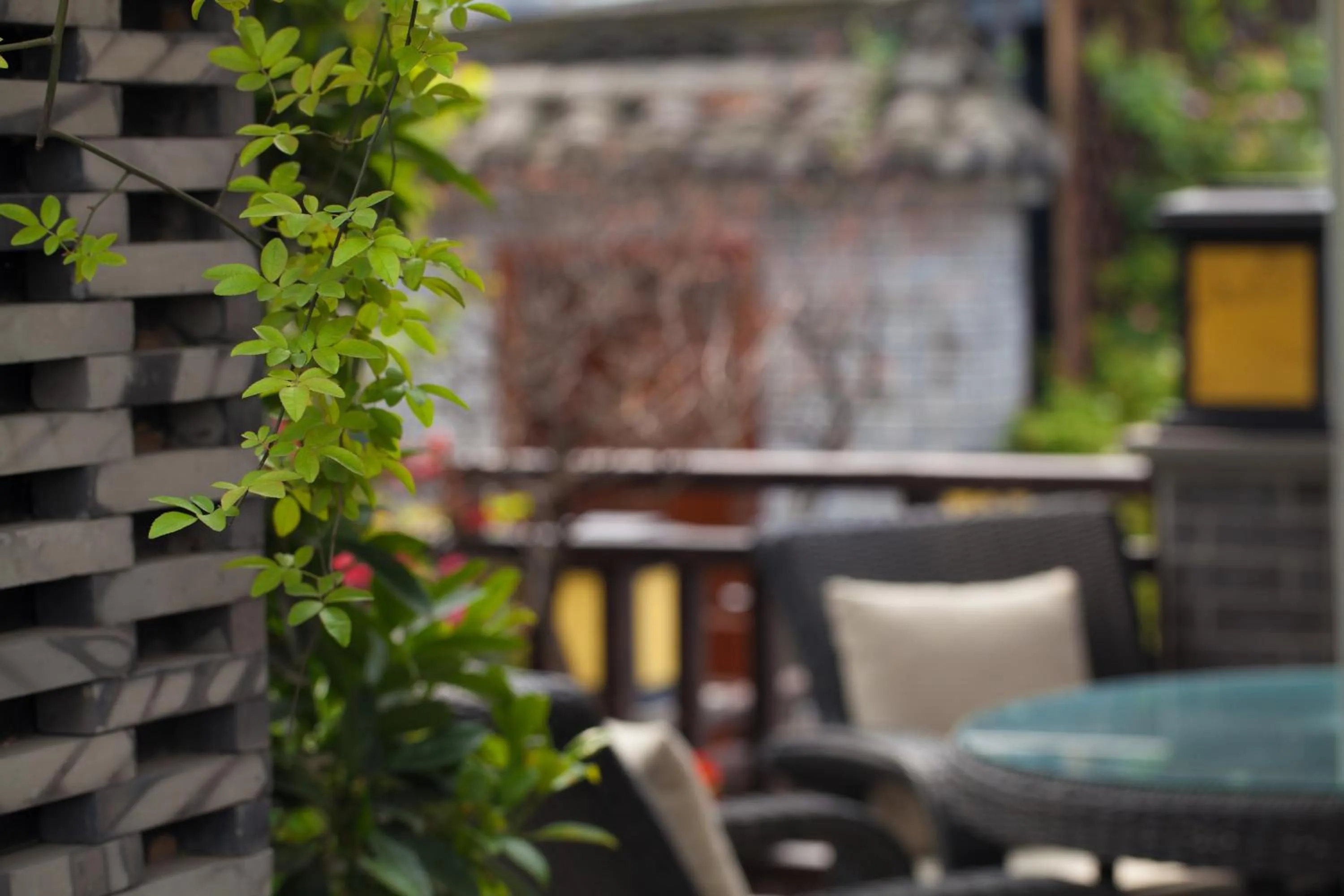 Garden in Buddha Zen Hotel