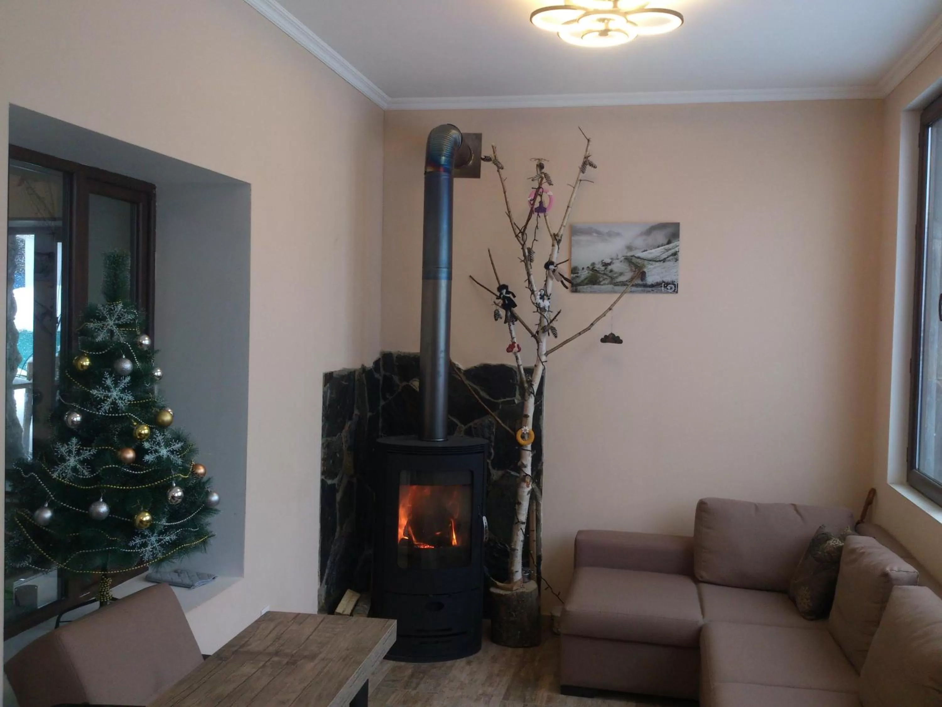 Communal lounge/ TV room, Seating Area in Hotel Svanseti