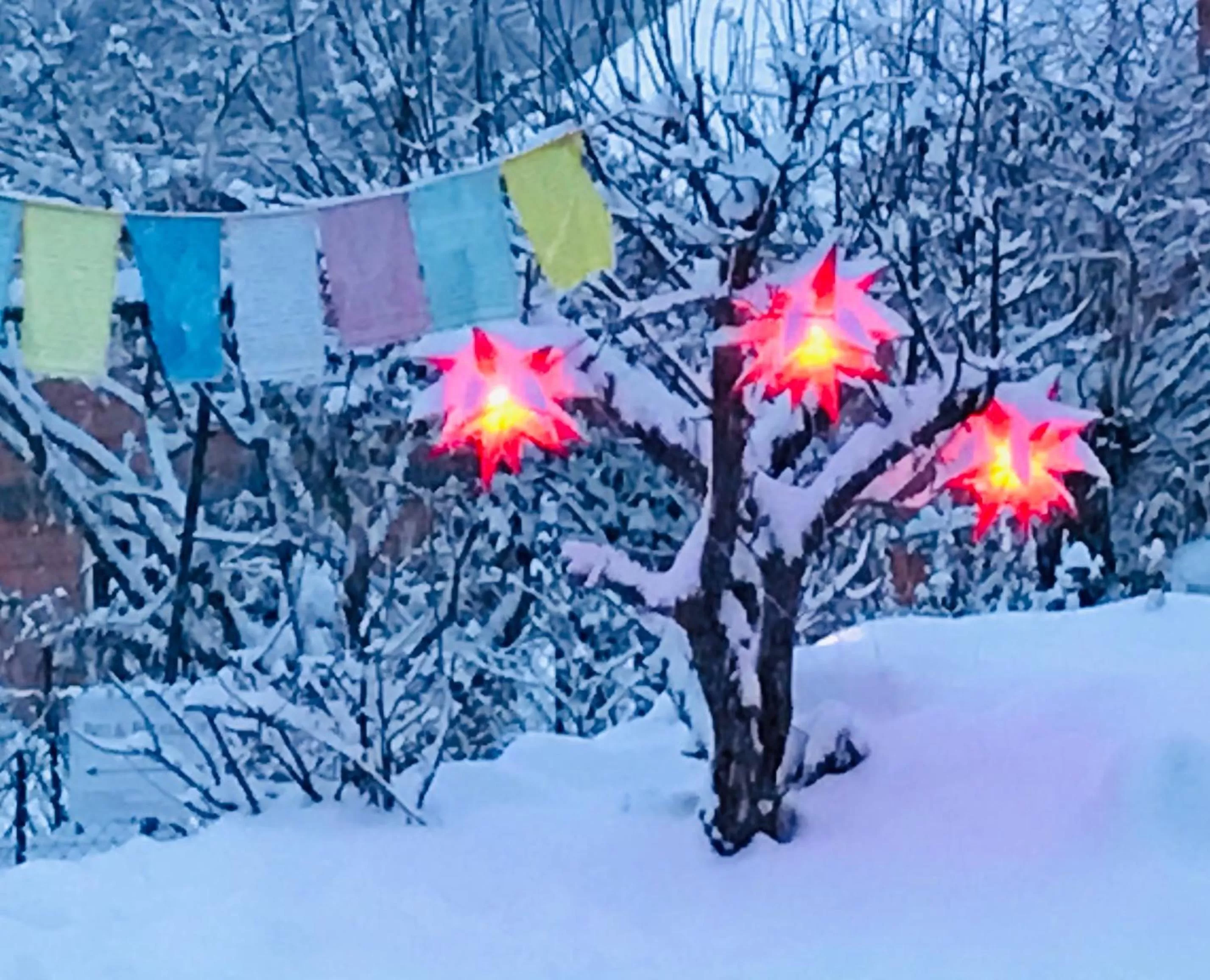 Winter in Bed and Breakfast Bavaria München