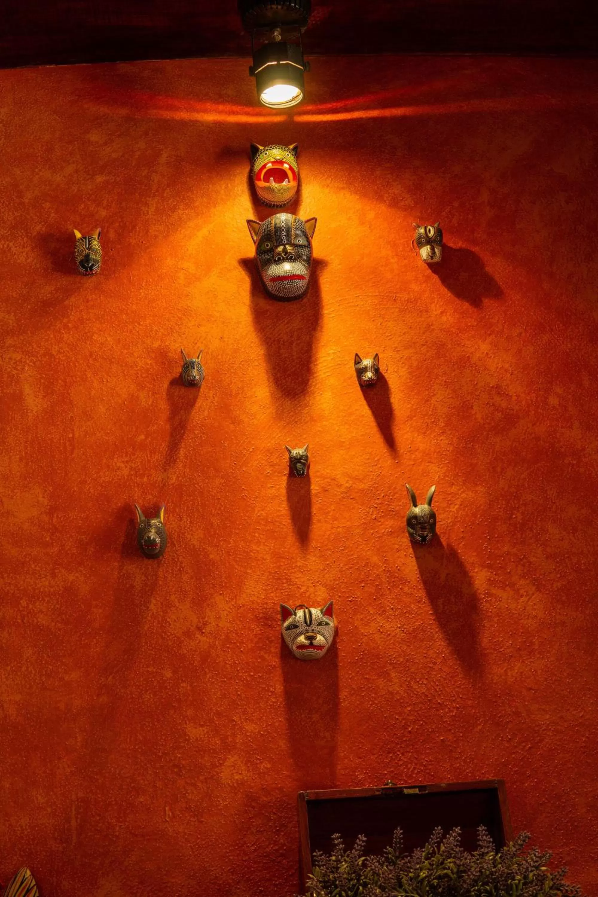 Deluxe Queen Suite in Hotel Casa Pereyra