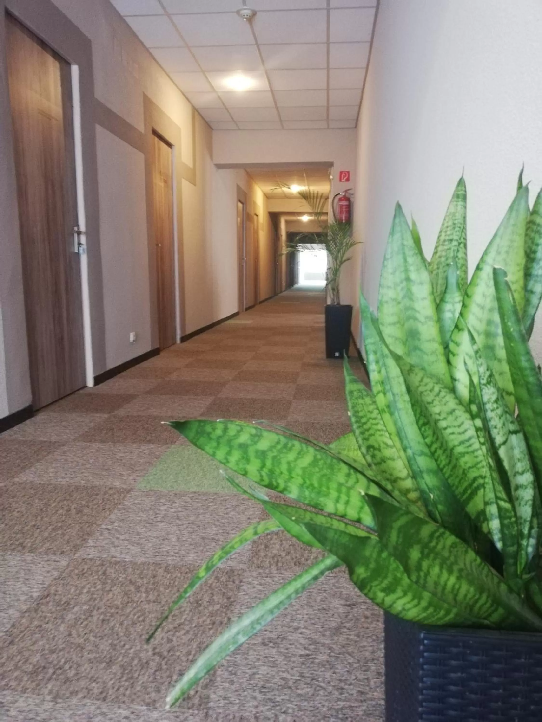 Area and facilities, Seating Area in Sport Hotel