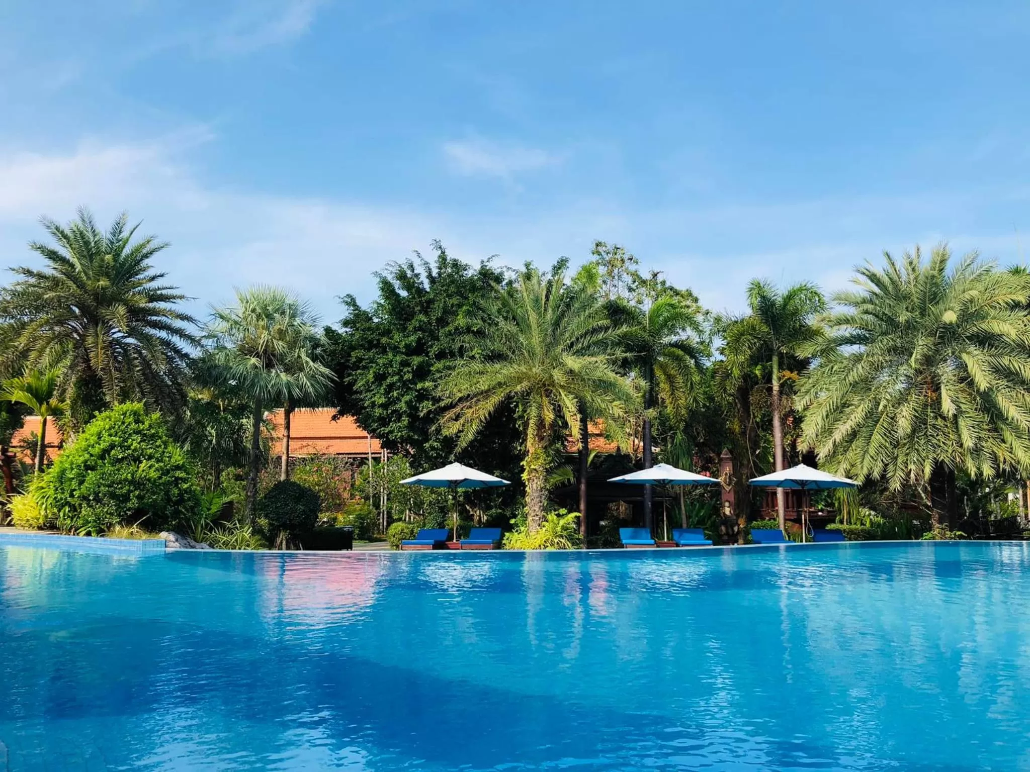 Pool view, Swimming Pool in Try Palace Resort-Kep