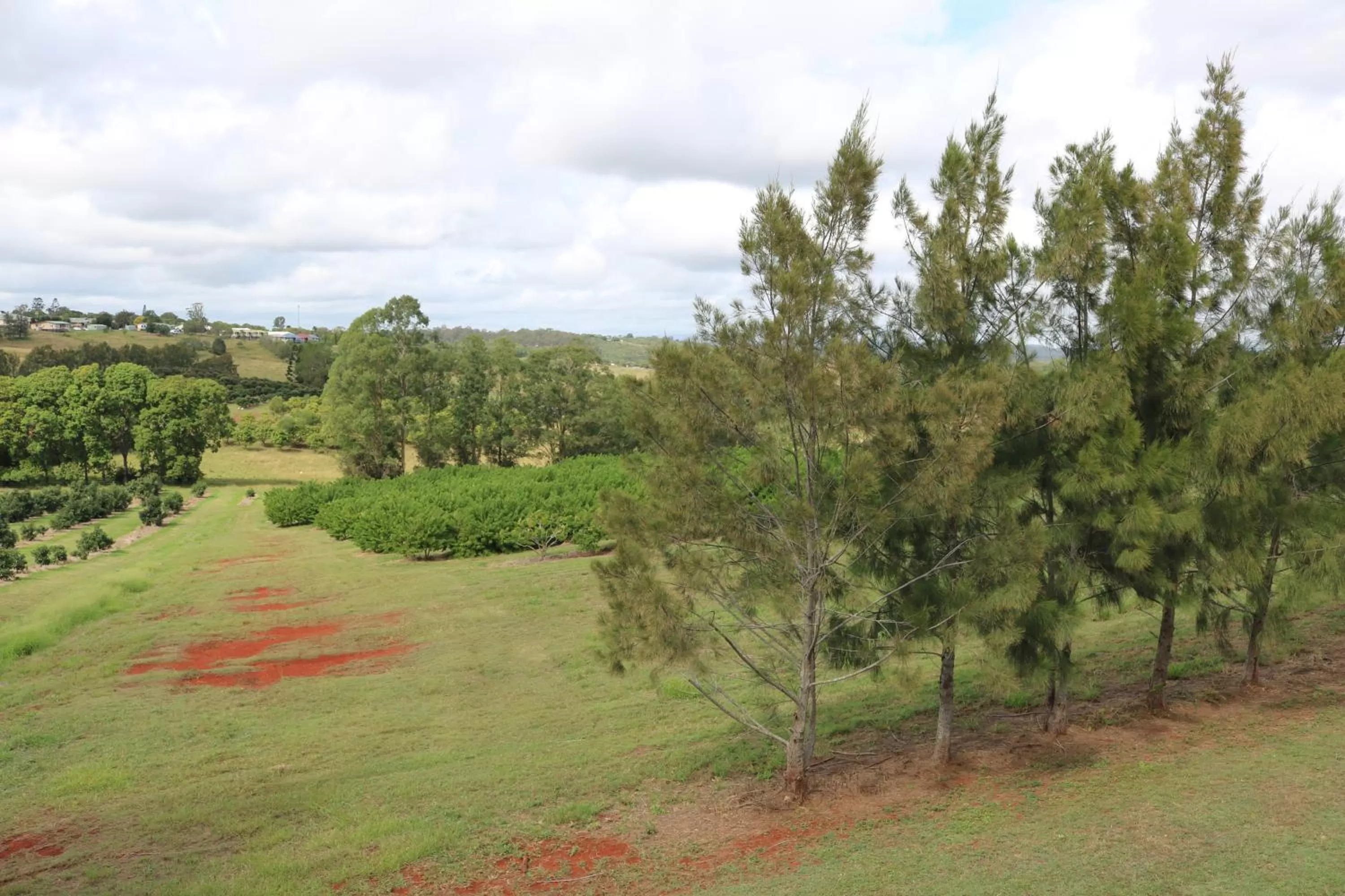 Landmark view in Avocado Motor Inn