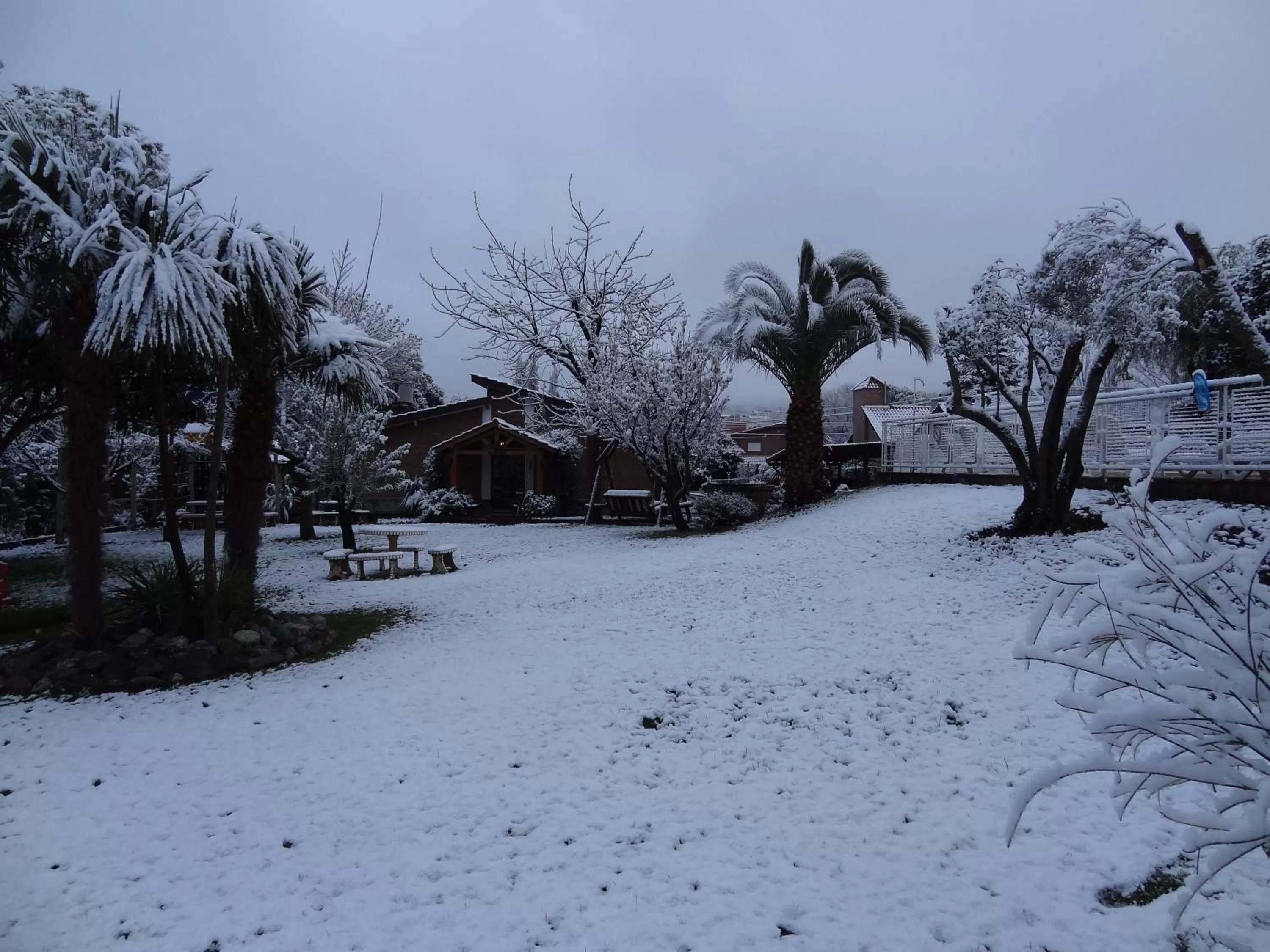 Garden in Hostería Lida