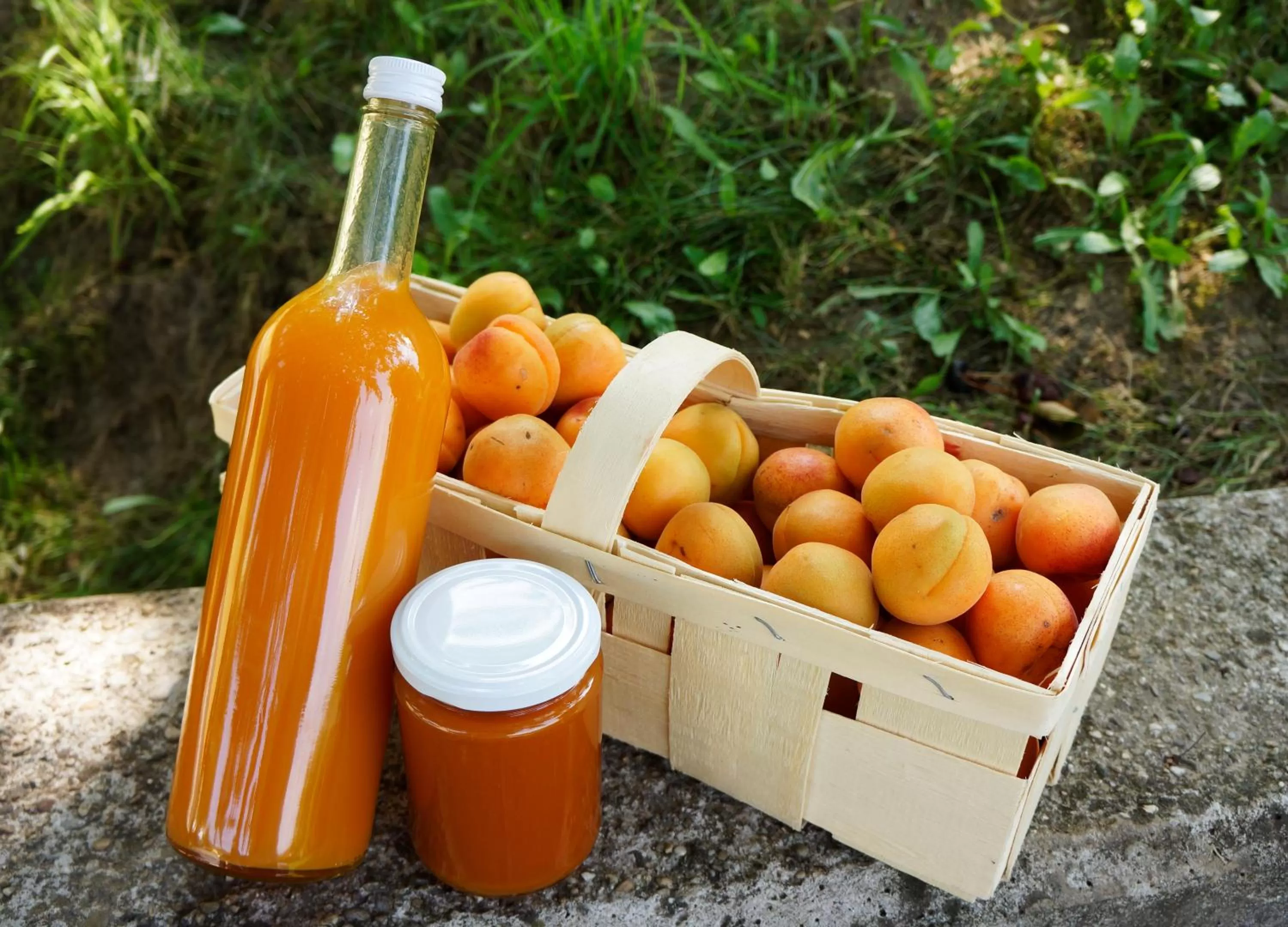 Food and drinks in Hotel Stadt Melk