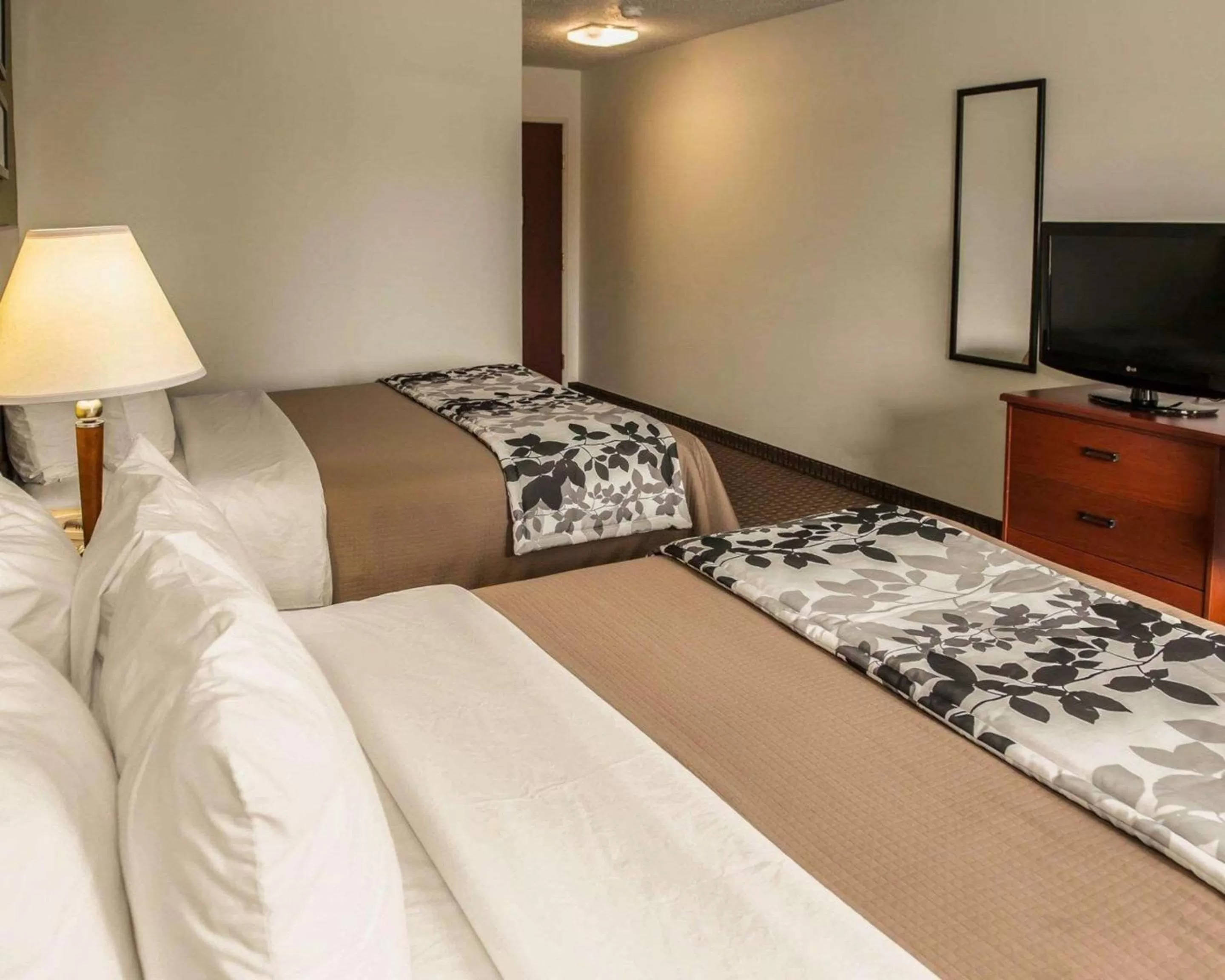 Photo of the whole room, Bed in Sleep Inn South Bend Airport