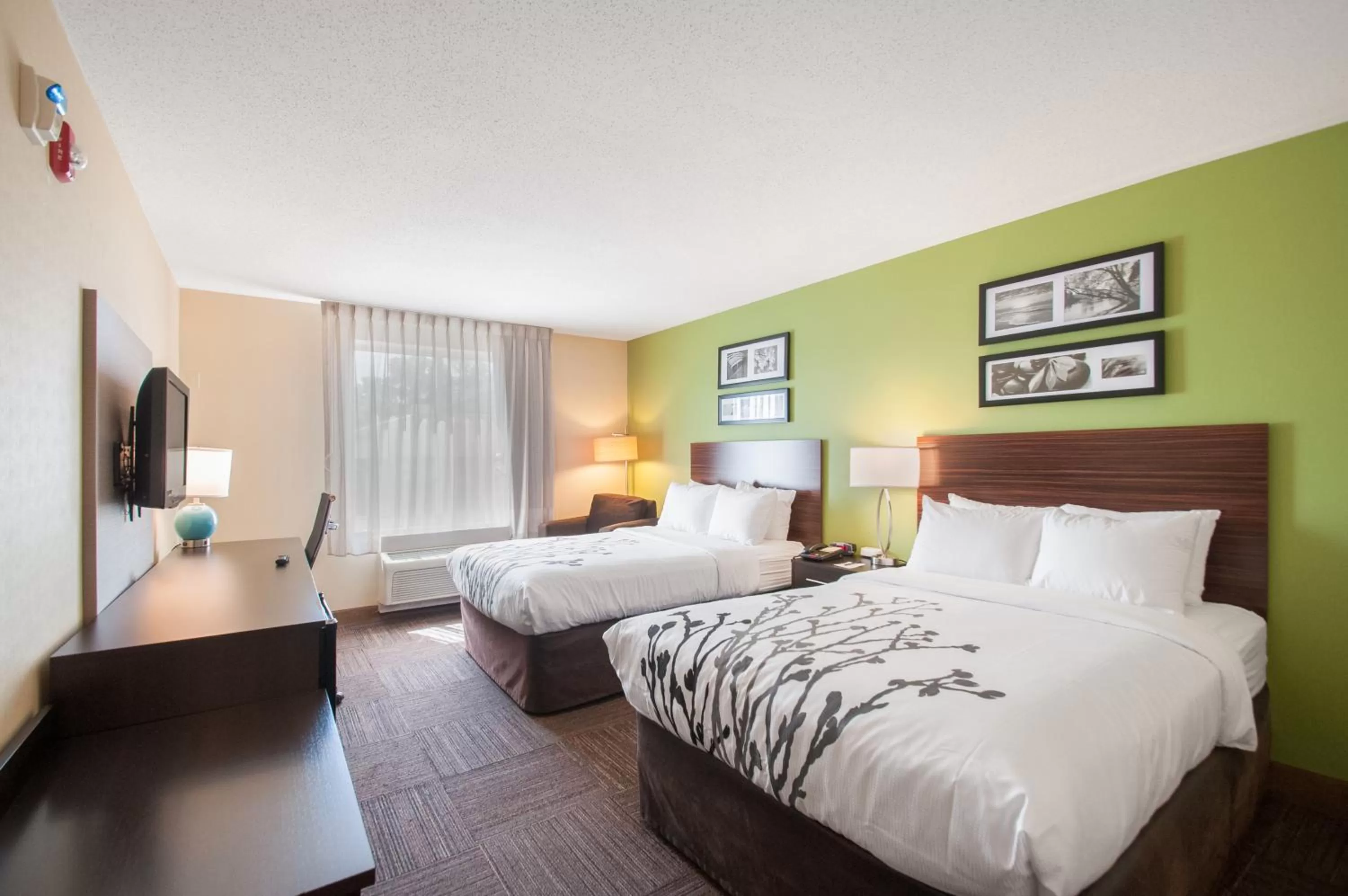 Bedroom, Bed in Sleep Inn & Suites Dover University Area