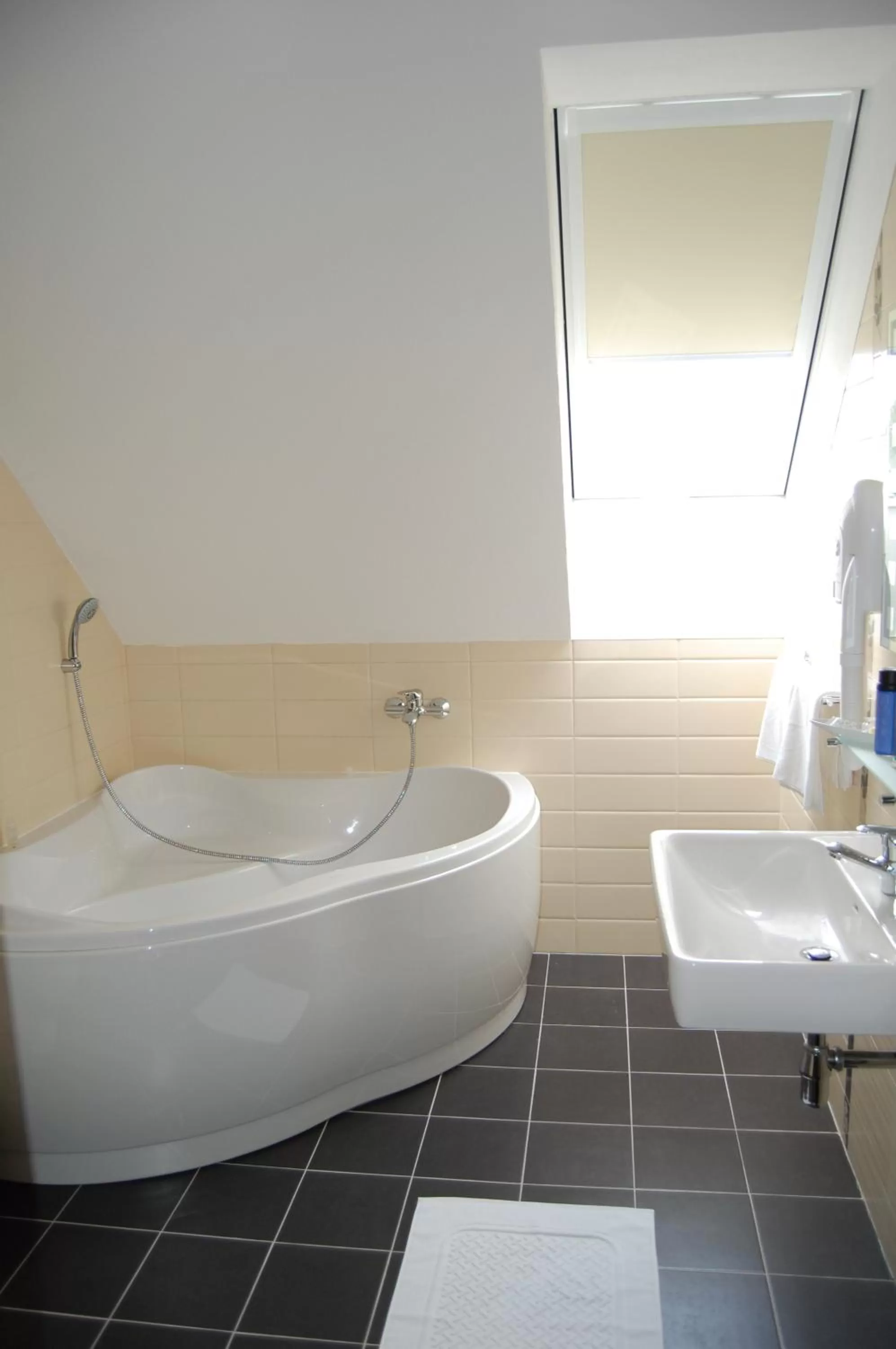 Bathroom in Hotel Academic