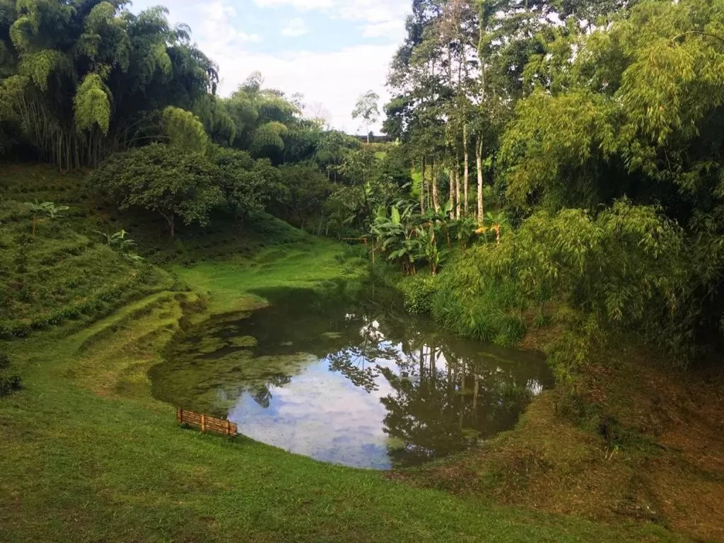 Natural landscape in Villa Cristina - Casa Boutique