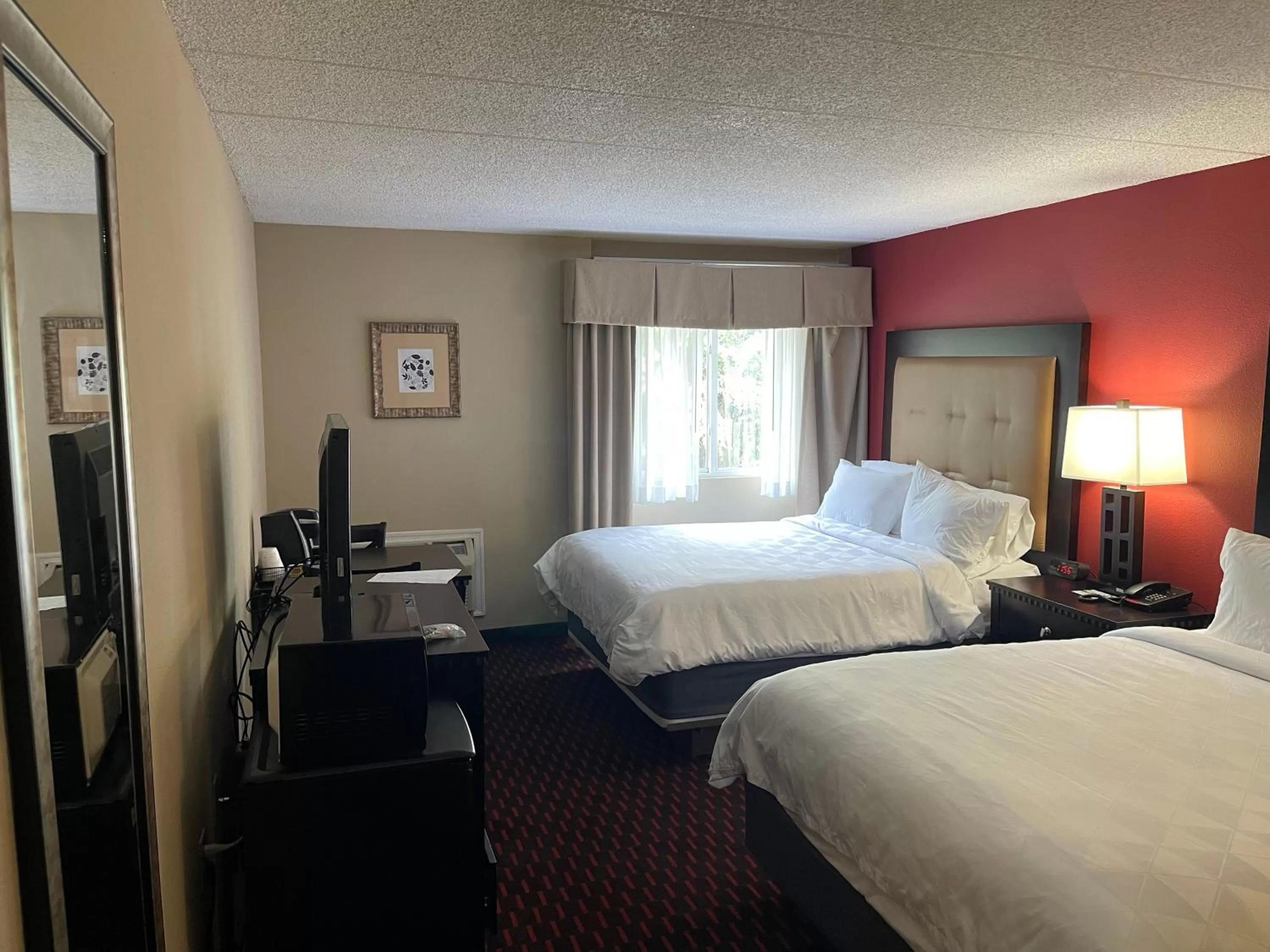 Photo of the whole room, Bed in Wyndham Garden Dover