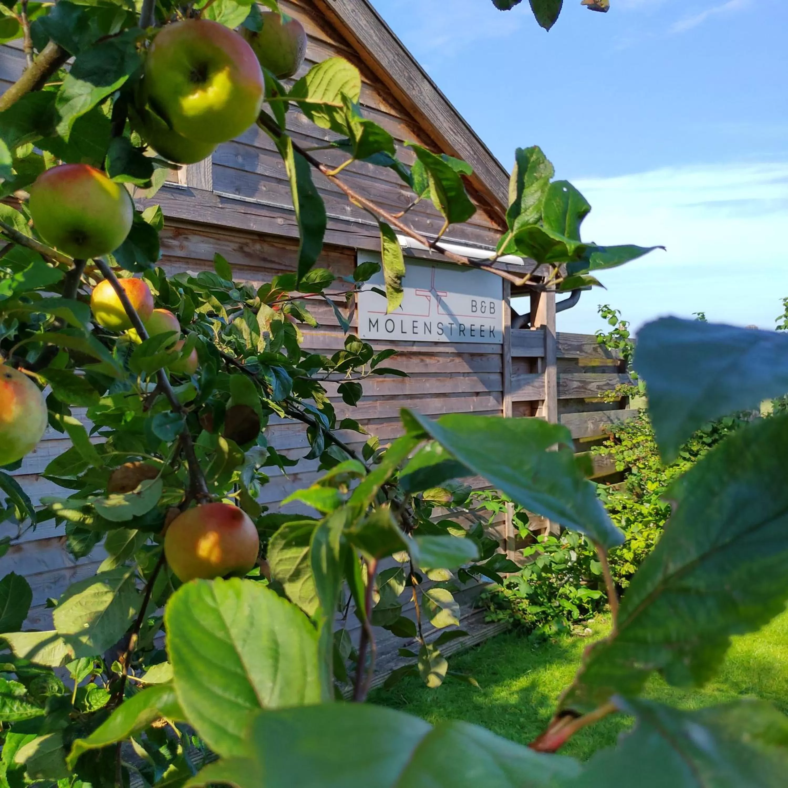 Property building in B&B Molenstreek