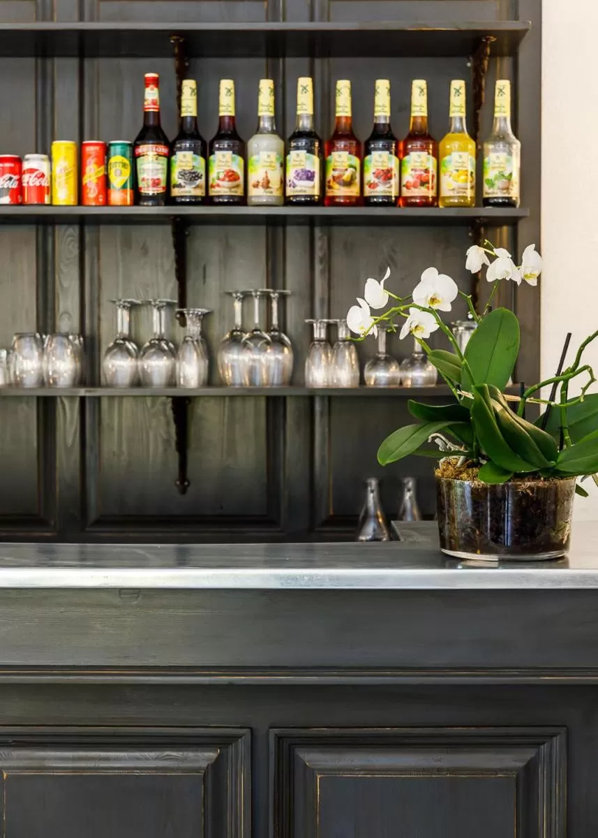 Lounge or bar in Hôtel Les Liserons de Mougins