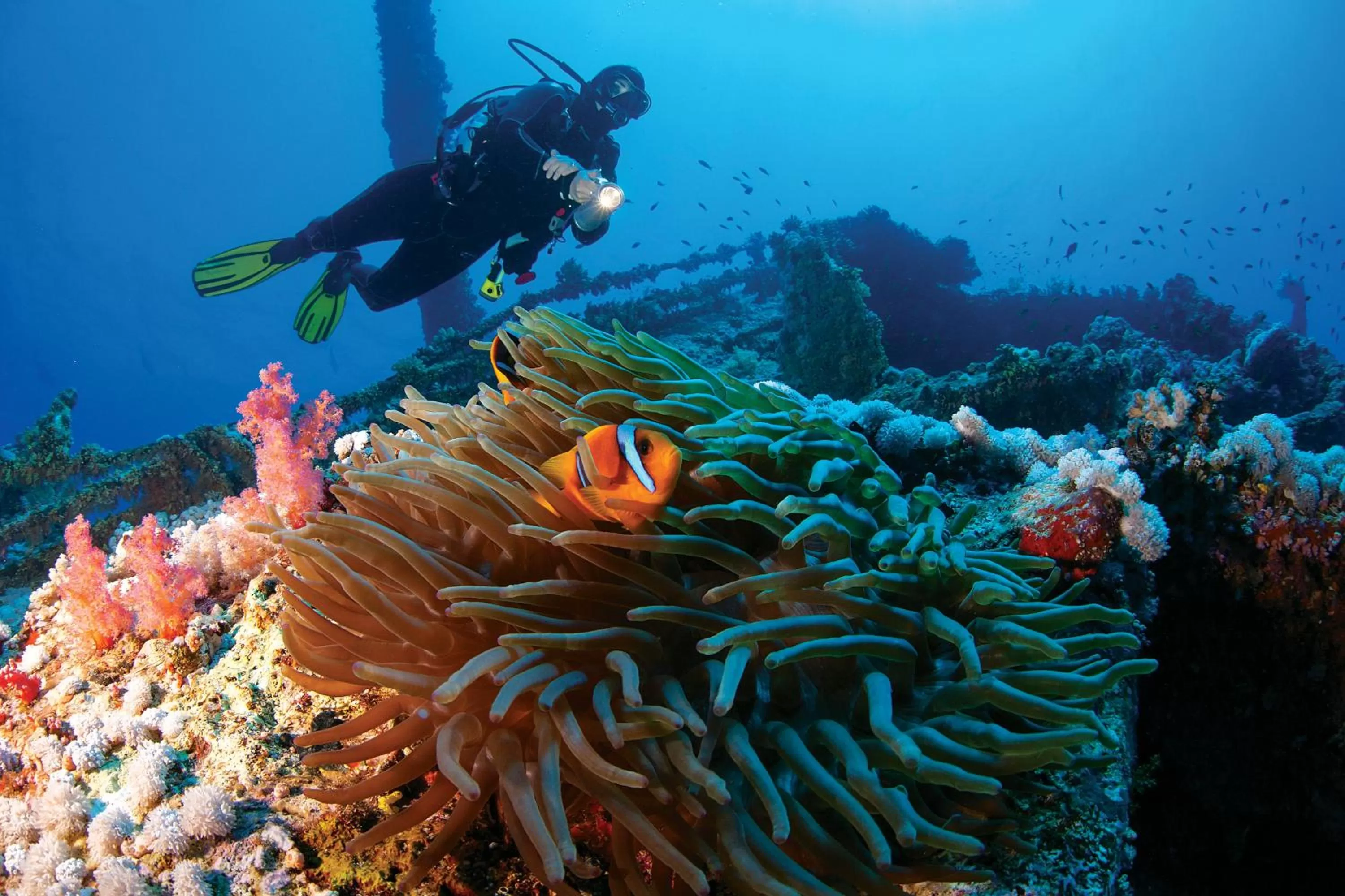 Diving in Sultan Sands Island Resort & Spa