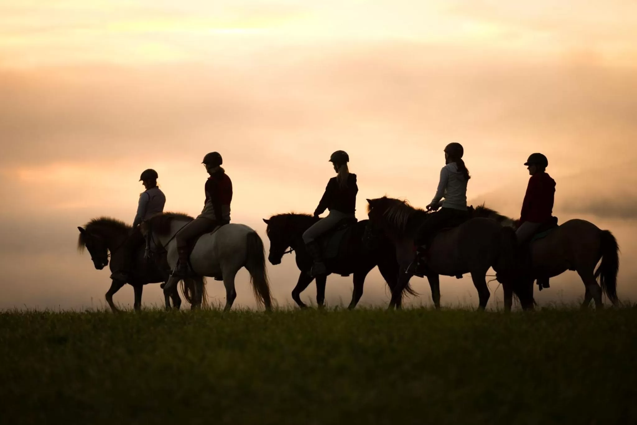 Horse-riding, Horseback Riding in Seiterhof