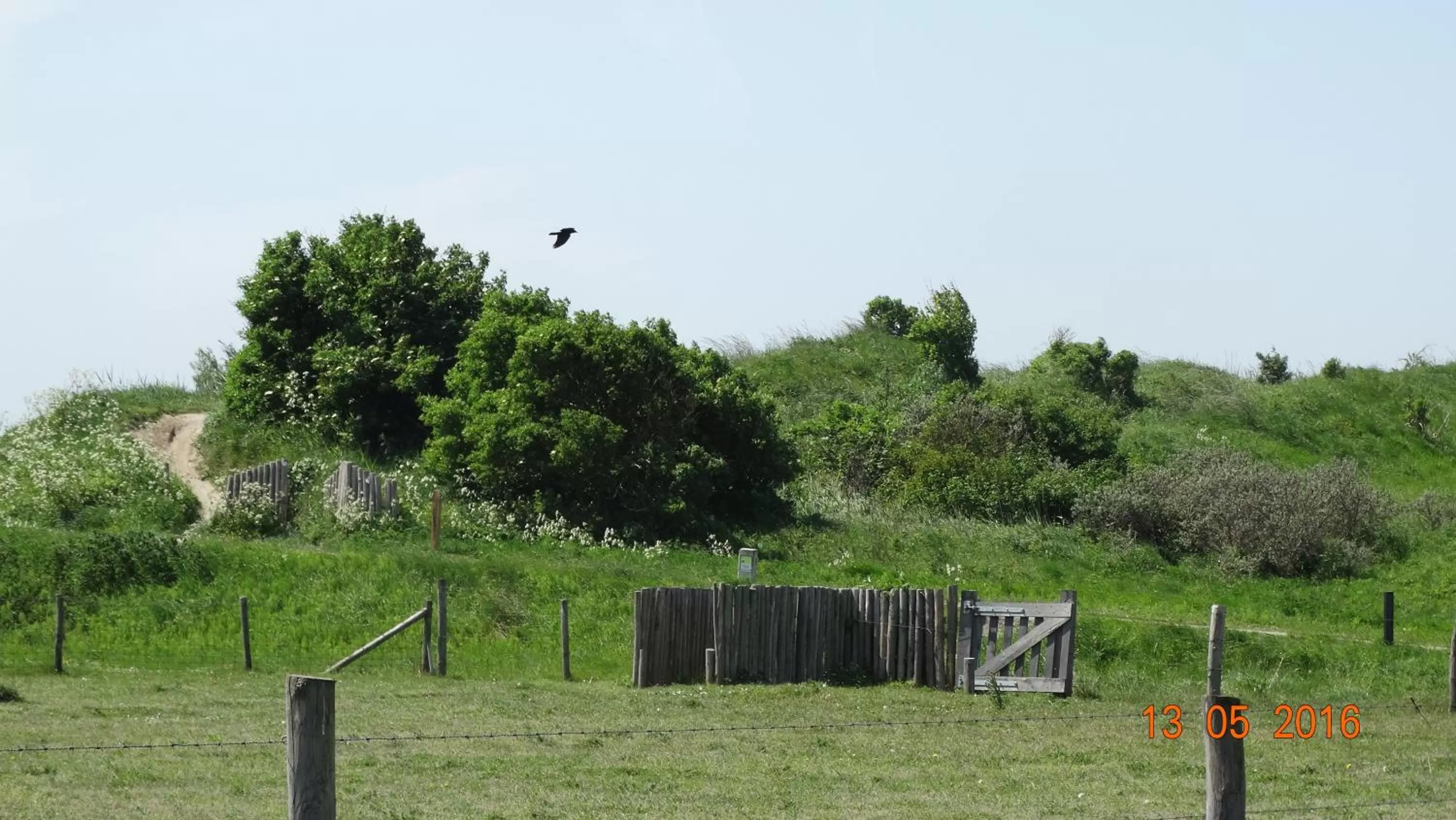 Natural landscape, Garden in Beach Hotel Oostvoorne