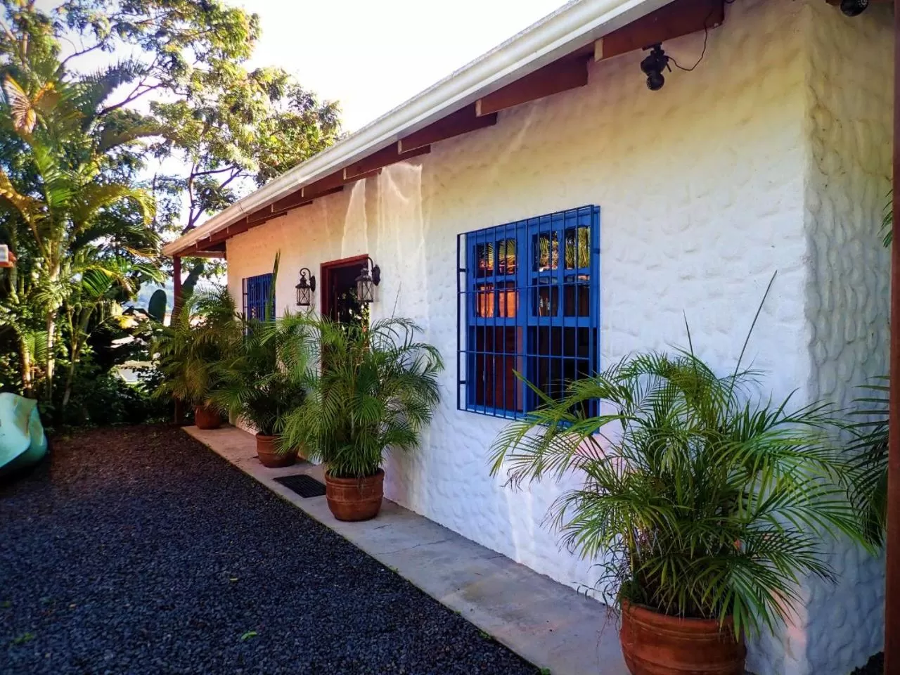 Property building in Orosi Lodge