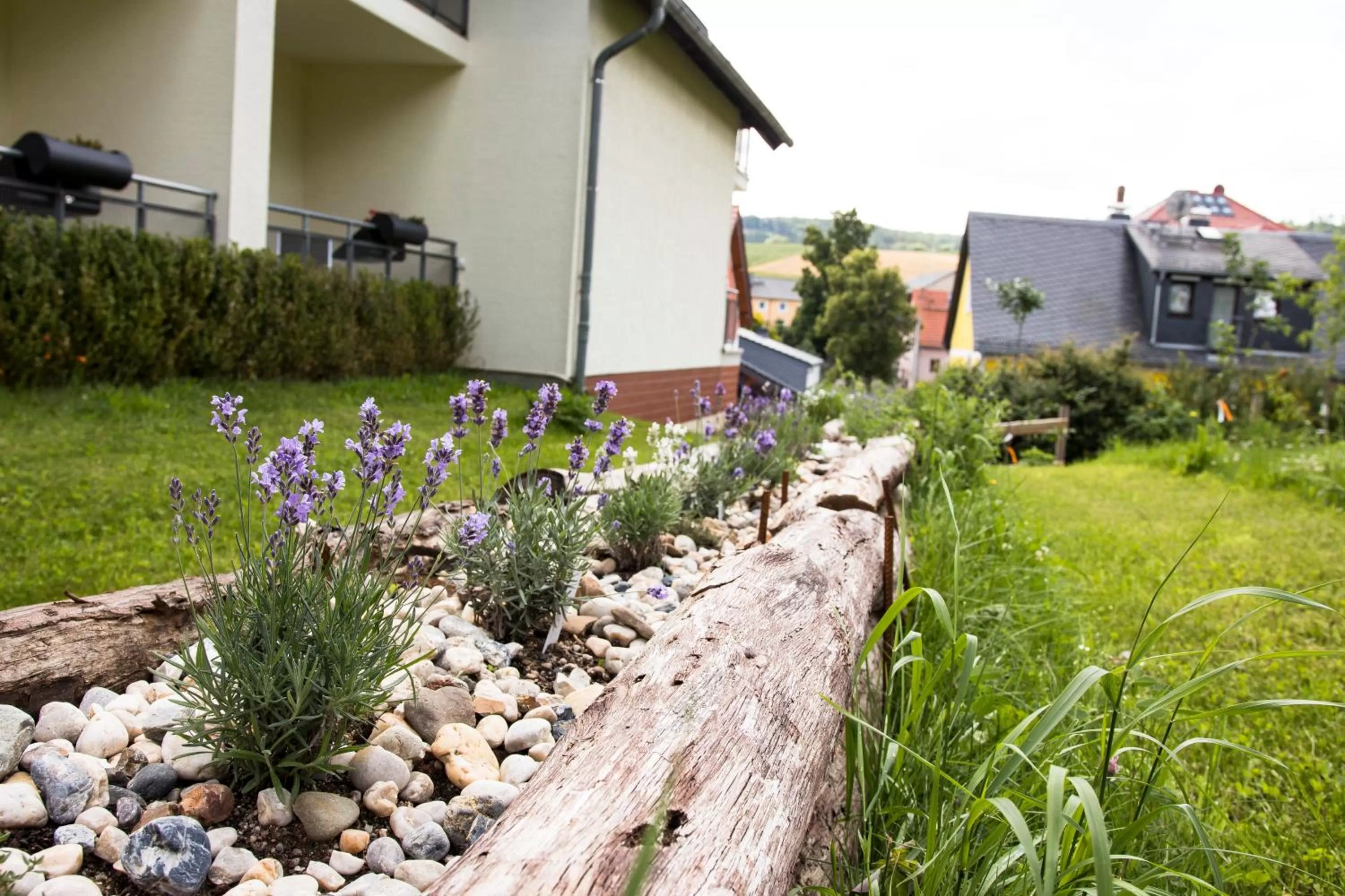 Garden in Landhotel Kräuterbergl Kreischa