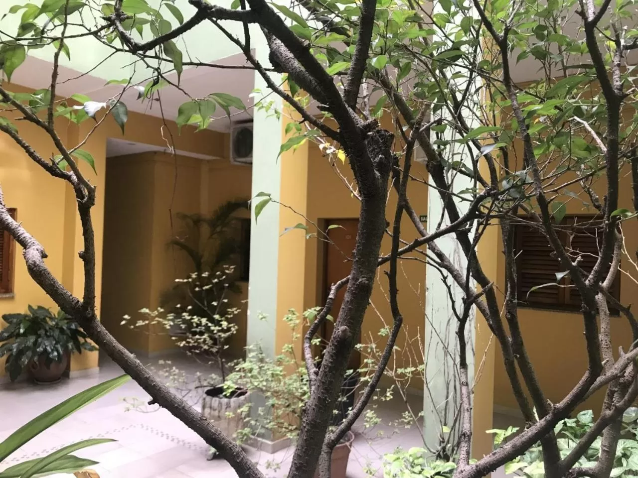 Patio in Hotel Alcazar