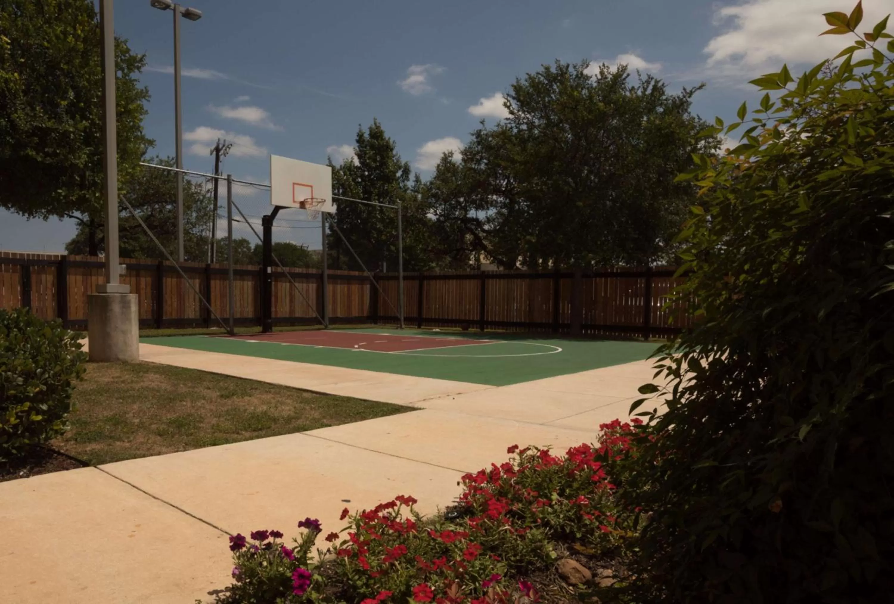 Sports in Homewood Suites by Hilton San Antonio North