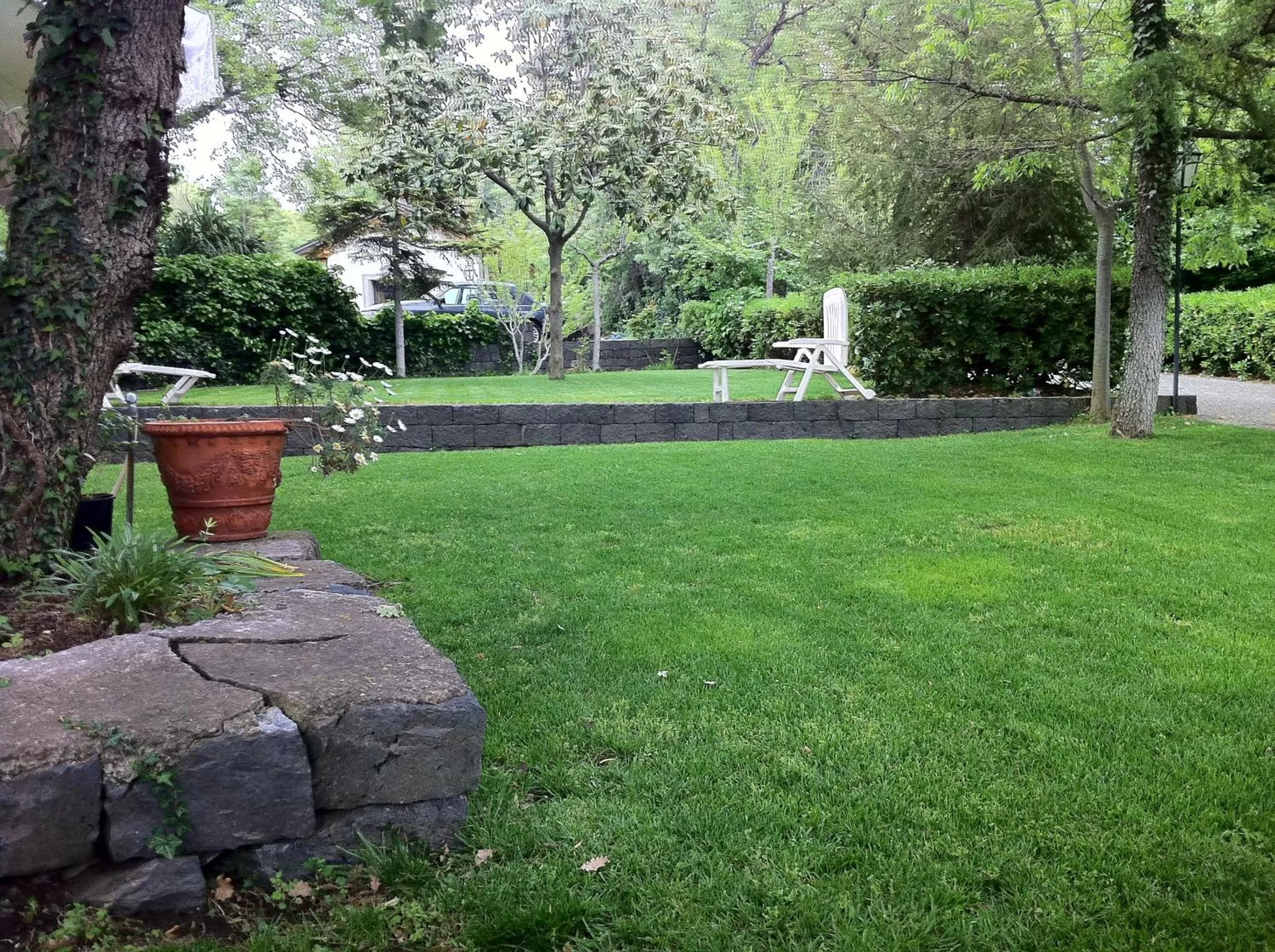 Garden in Domus Verdiana