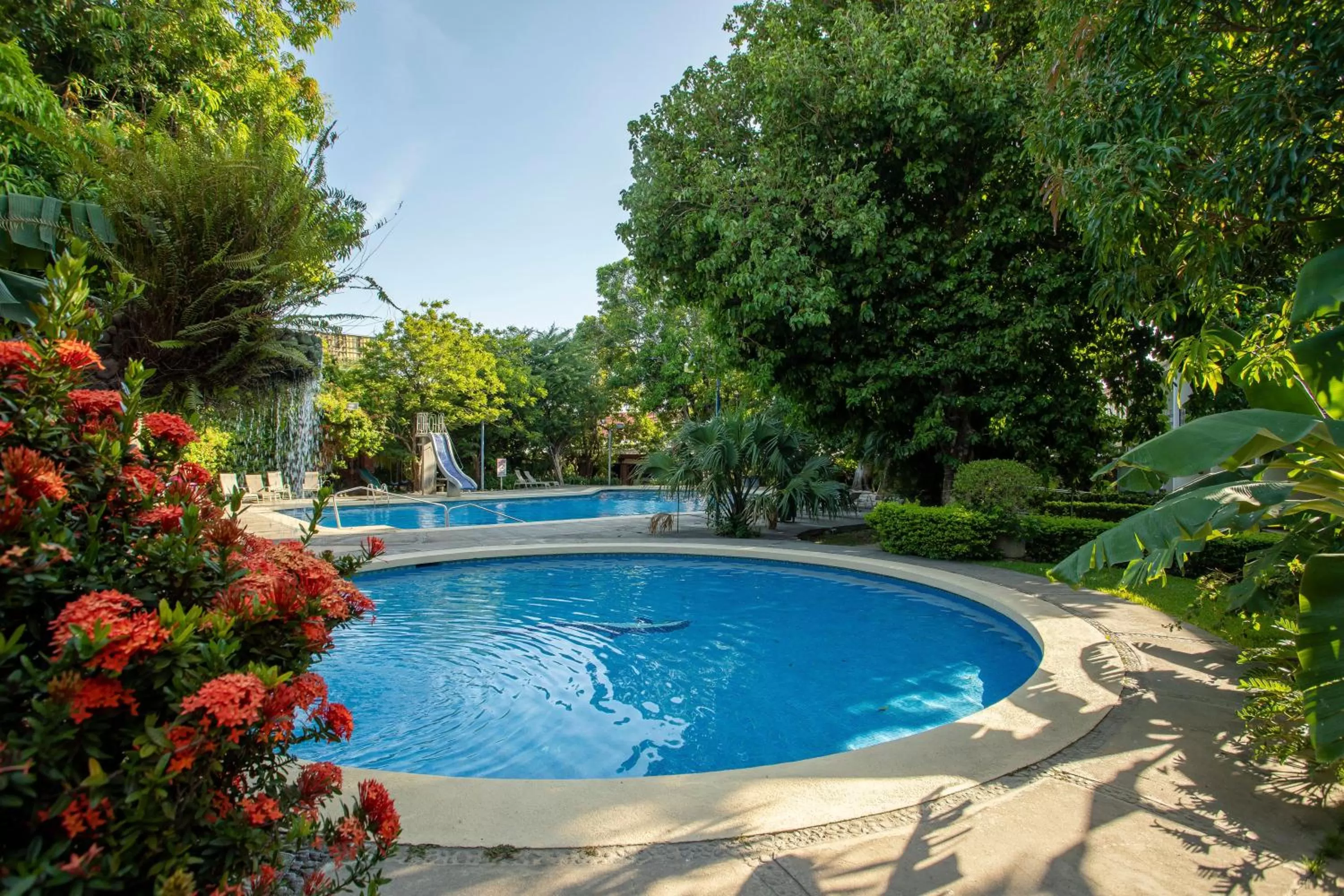 Swimming pool in Hotel Boyeros