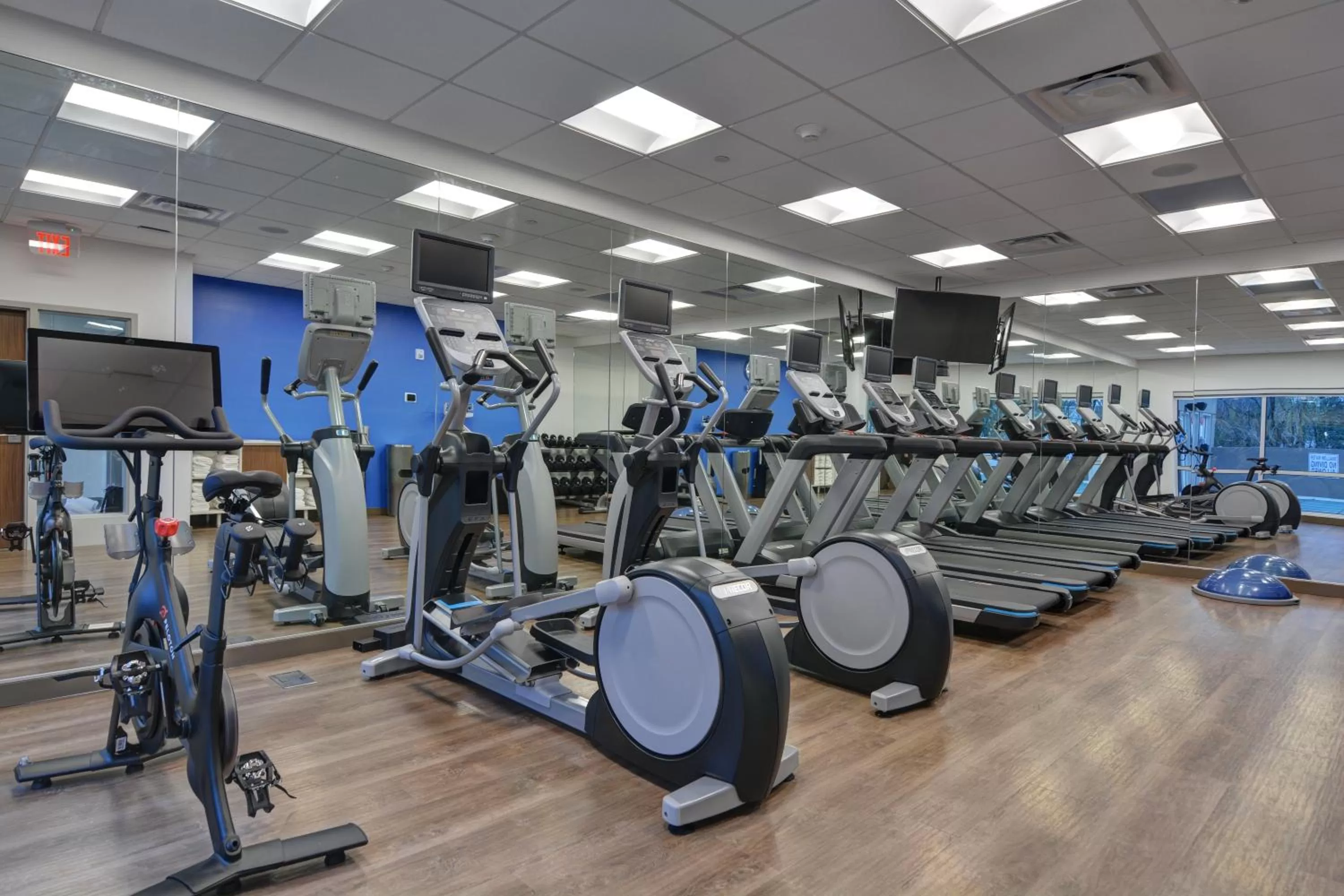 Fitness centre/facilities in Holiday Inn Express & Suites - Greenville - Taylors by IHG