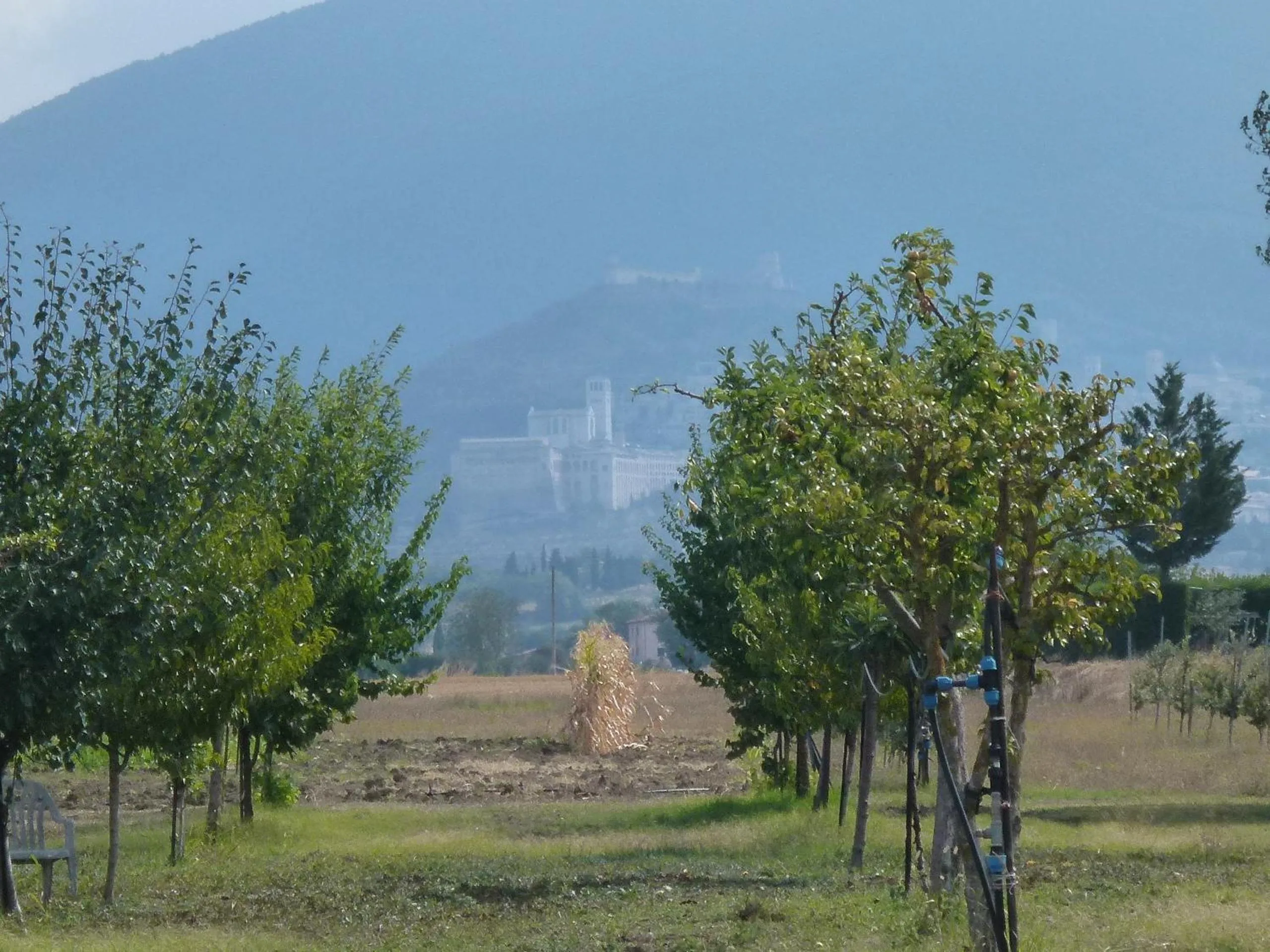Garden in Campiglione Hotel