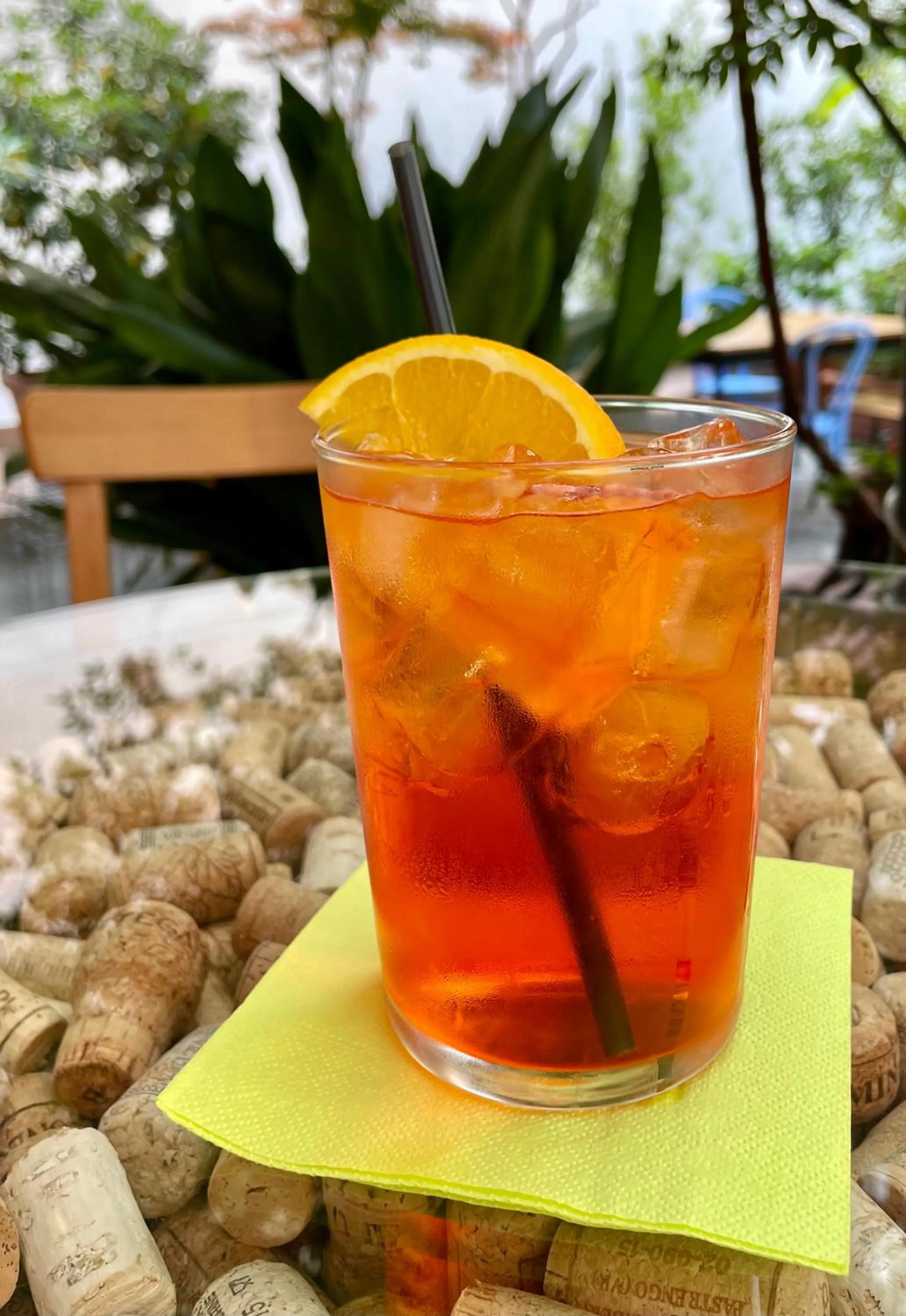 Garden in Il Girasole High Quality Inn